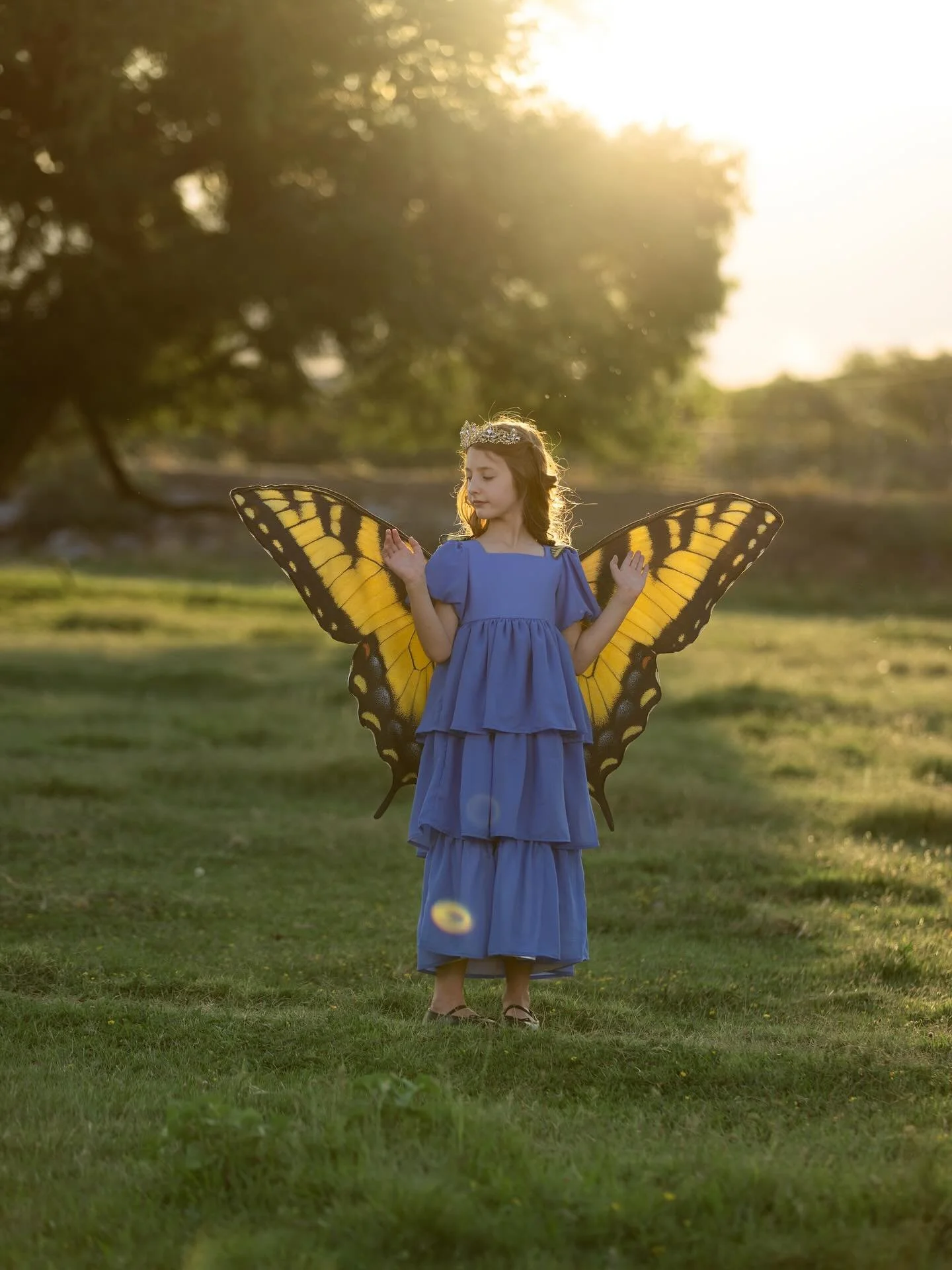 Tiger Swallowtail Princess.