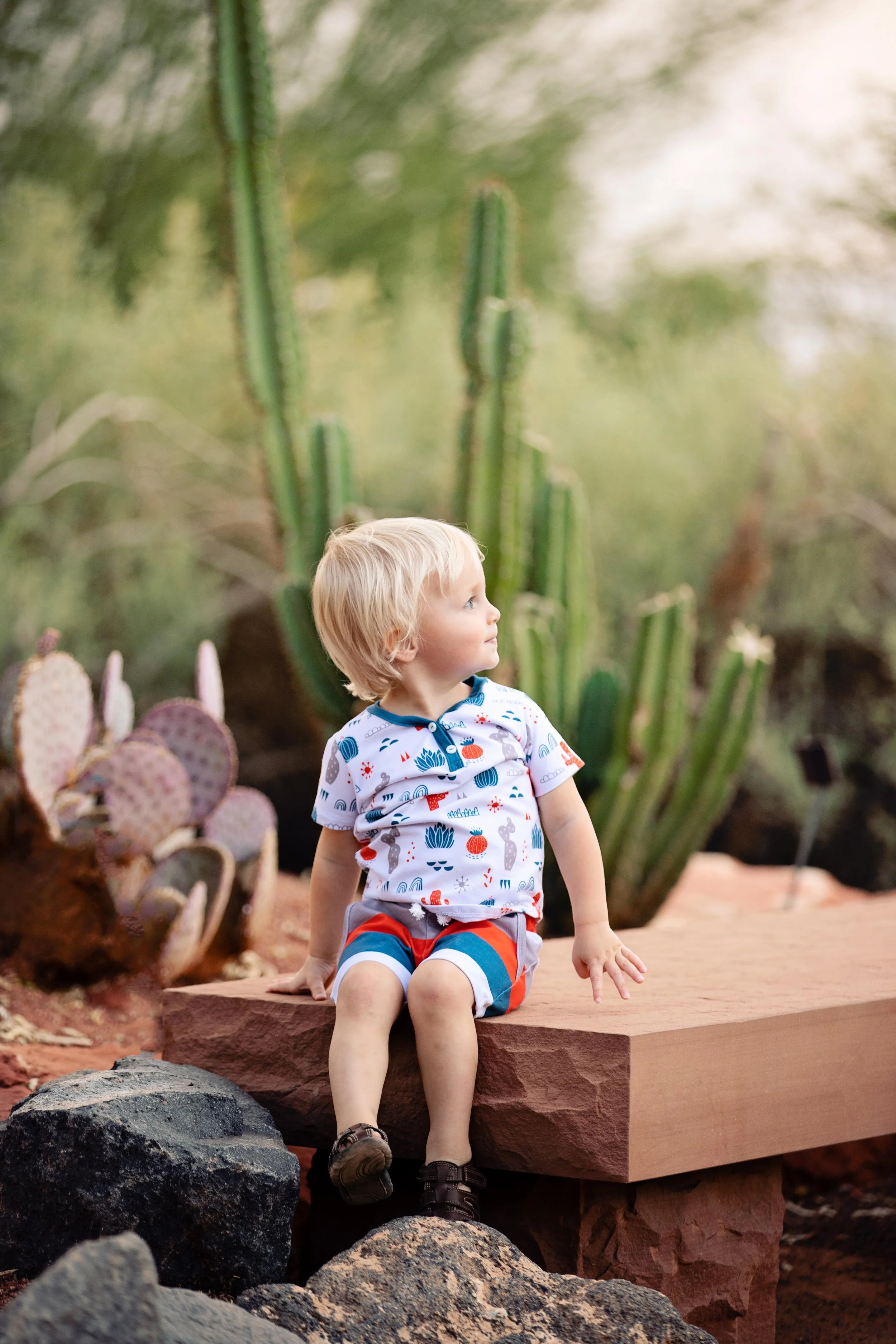 Boy_Cactus_Red_Hills_garden.jpeg