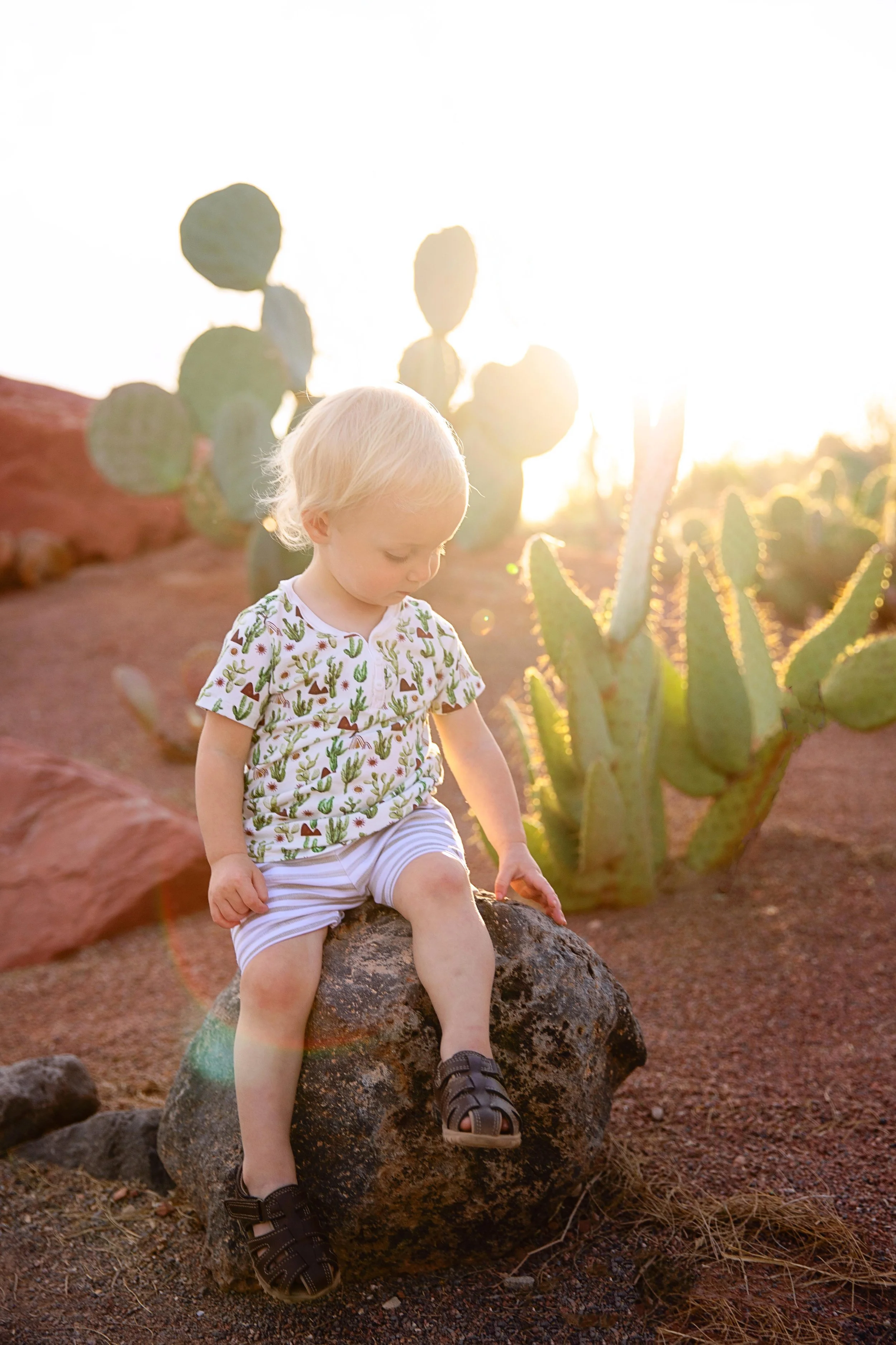 Golden_hour_desert_photoshoot.jpeg