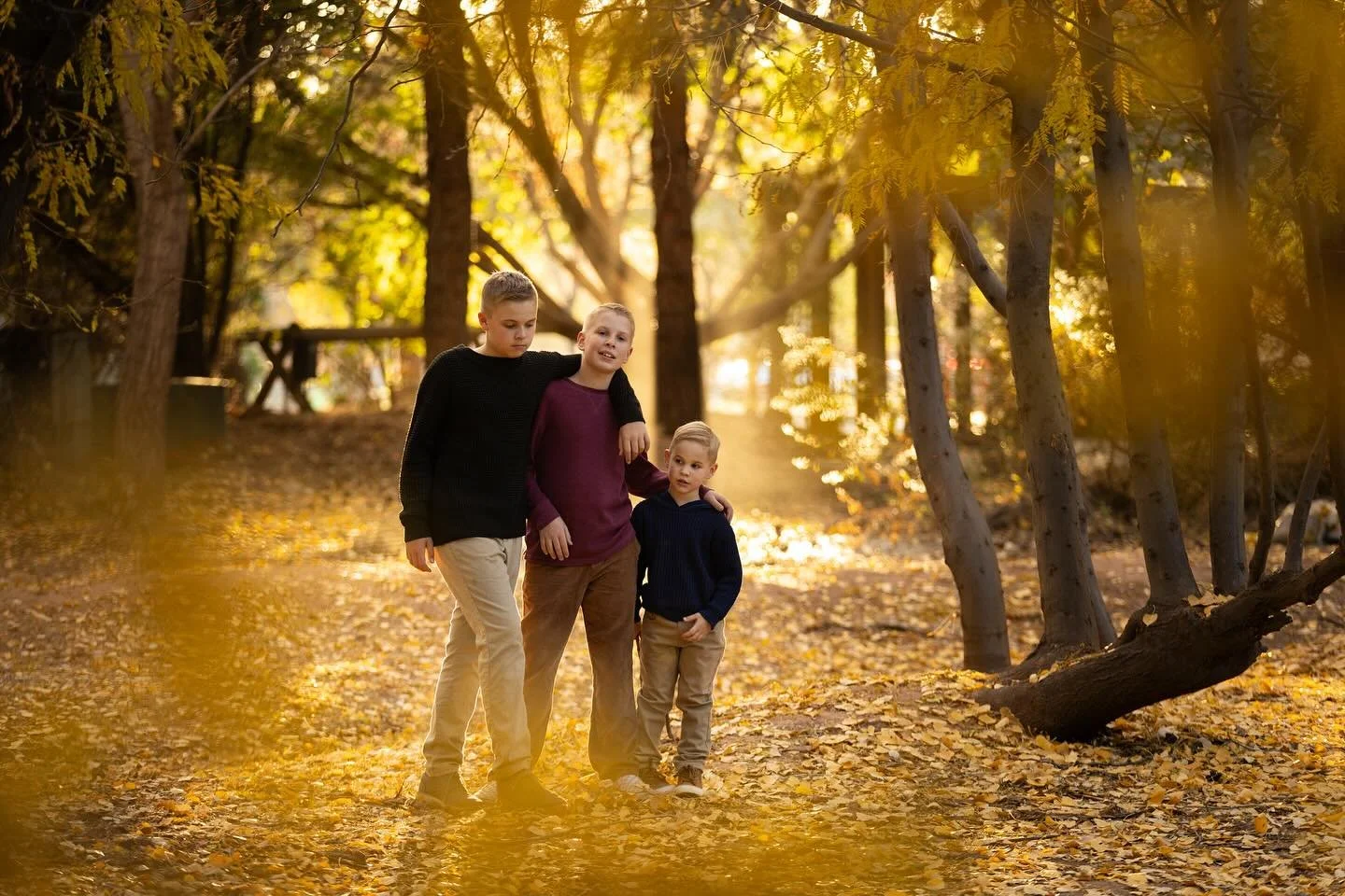 I can&rsquo;t wait until this spot looks this golden again!