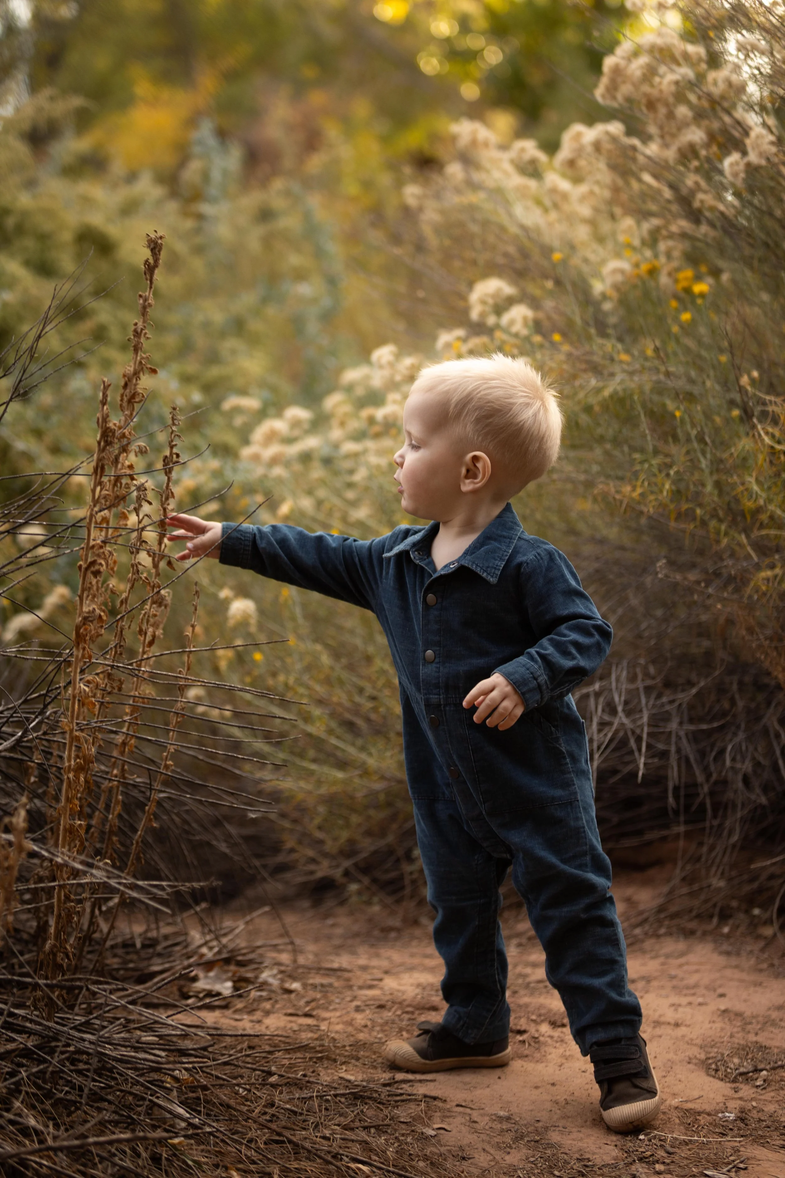 Toddler_exploring.jpeg