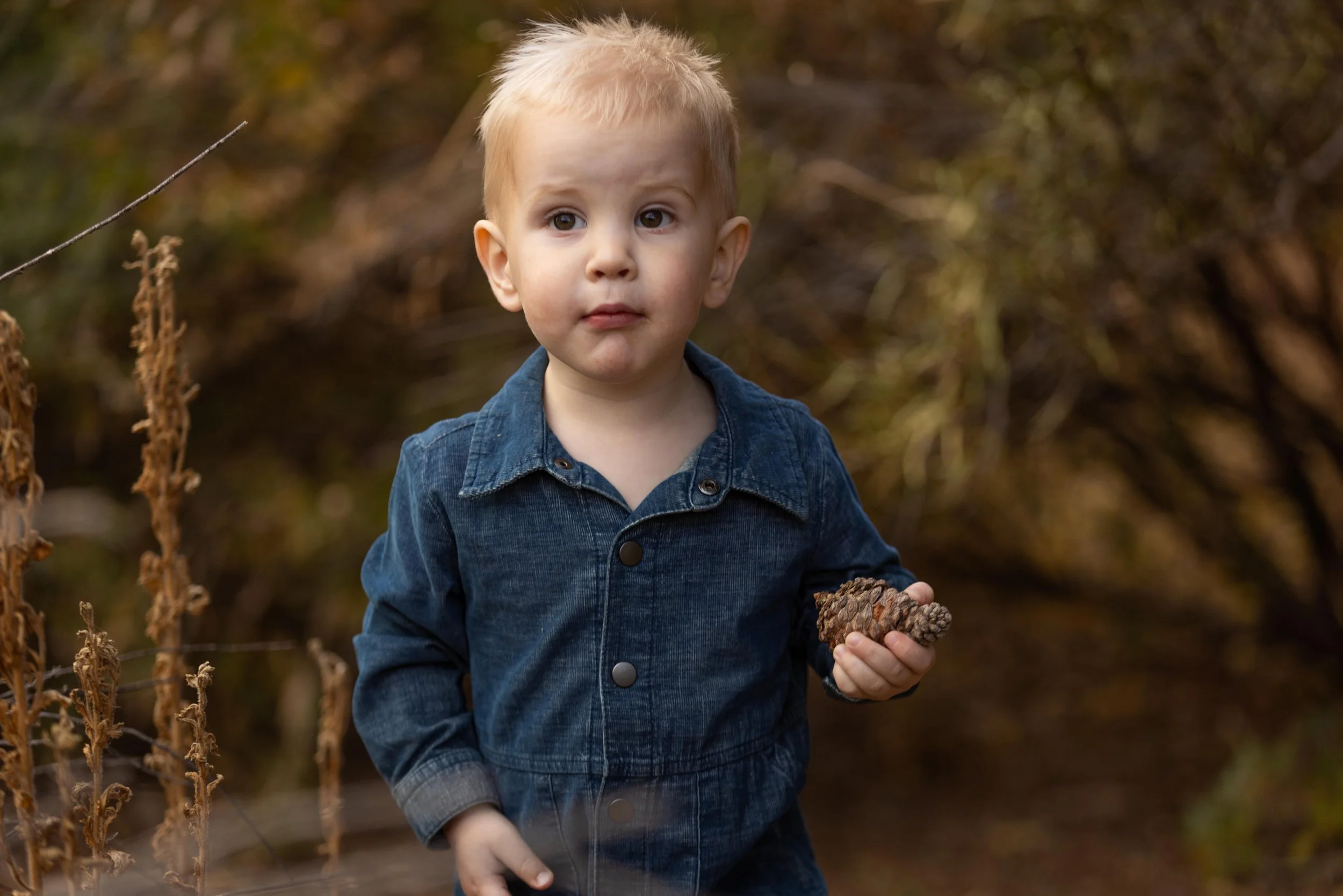 Cute_toddler_family_photography.jpeg