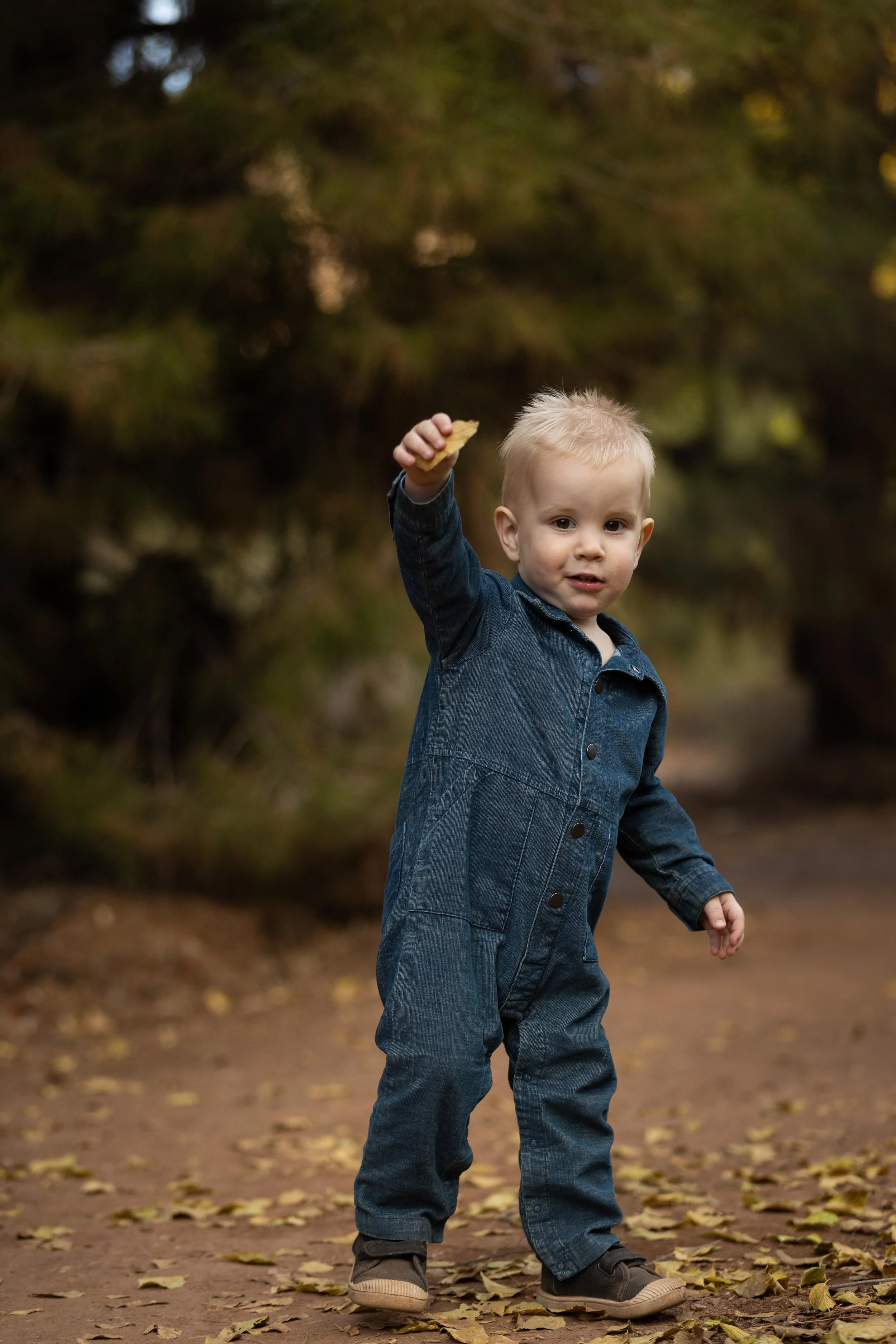 Portrait_toddler.jpeg