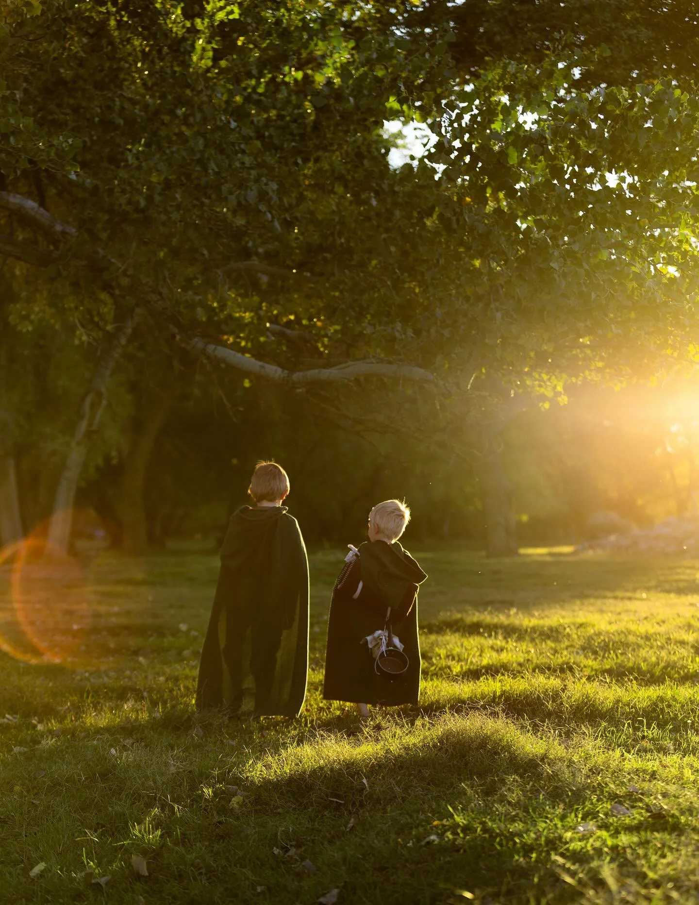 &ldquo;It&rsquo;s a dangerous business, Frodo, going out your door. You step onto the road, and if you don&rsquo;t keep your feet, there&rsquo;s no knowing where you might be swept off to.&rdquo;
J.R.R. Tolkien, The Lord of the Rings
