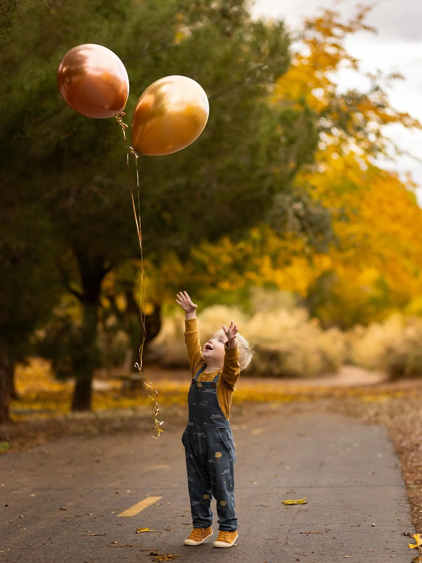 I just don&rsquo;t have words for how much I love this photo! I love how he&rsquo;s on his little tip toes, I love the colors, the sweet facial expression and so much more!