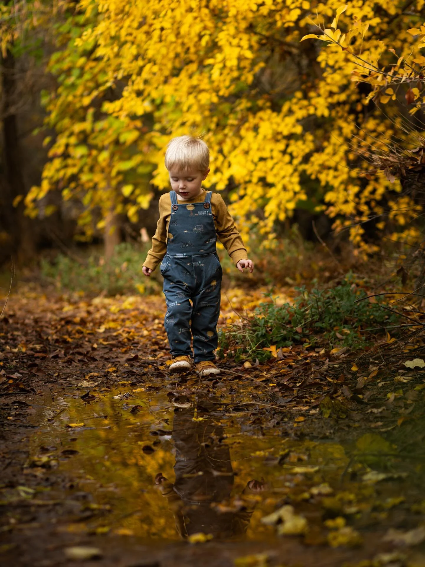 I love a good reflection!
