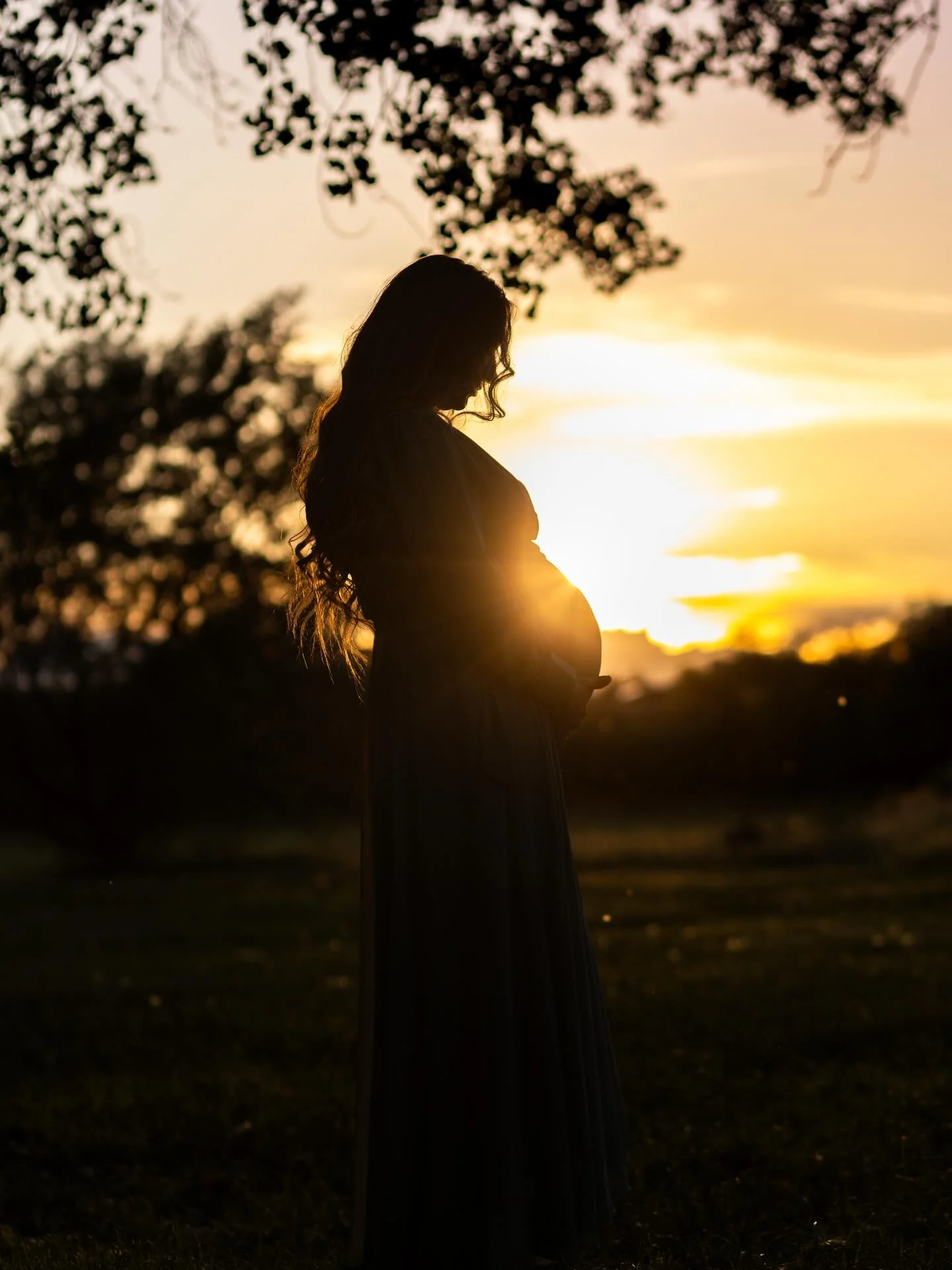 The gentle spring breeze sent cottonwood seeds dancing though the air while the golden light wrapped itself around this sweet mama creating such a beautiful scene. Spring is such a beautiful time!