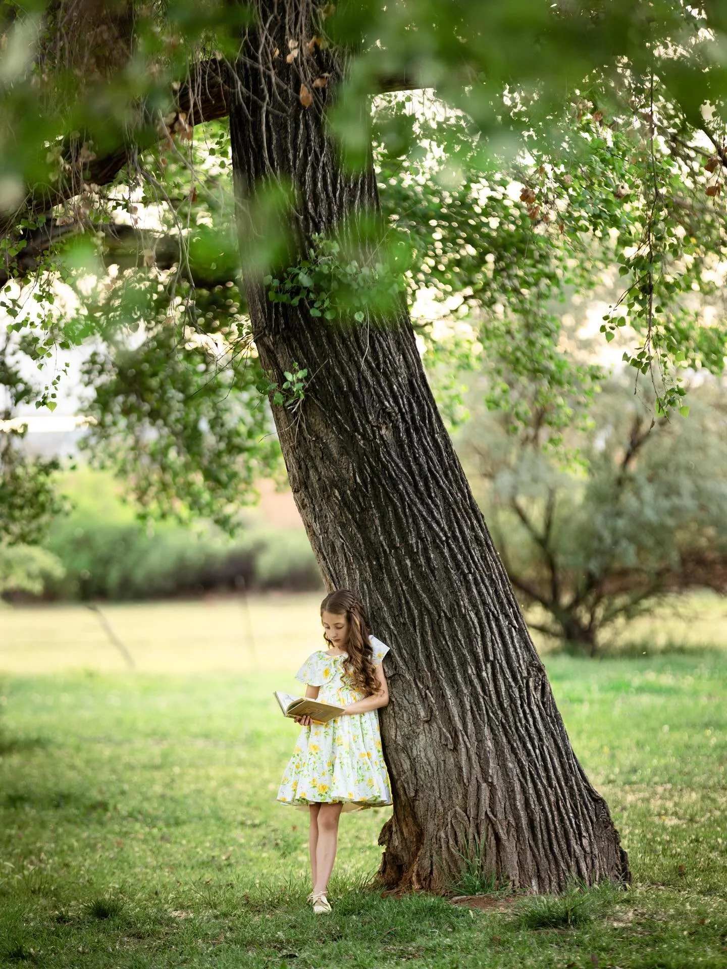 Reading a book under the cotton wood trees. This photo is so peaceful to me.