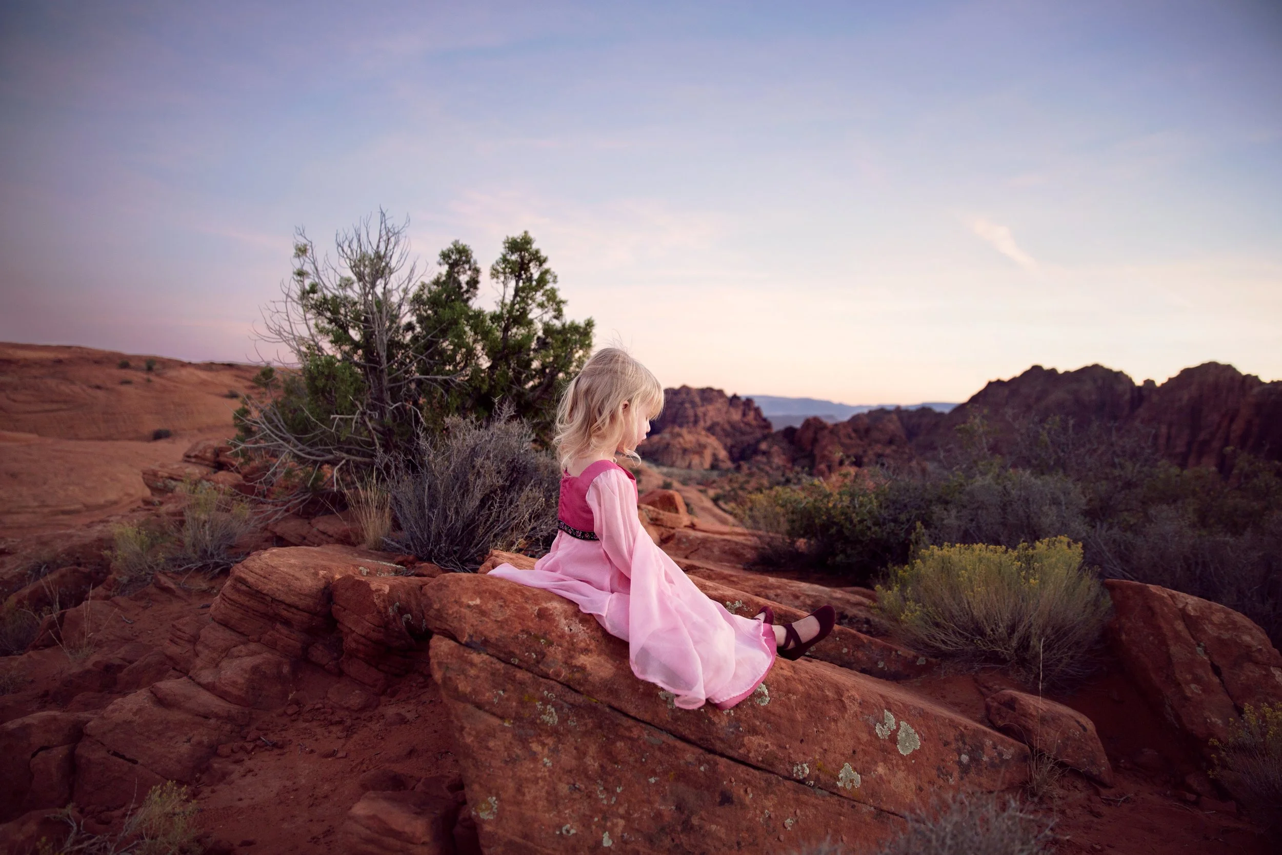 A Quiet Moment, Snow Canyon