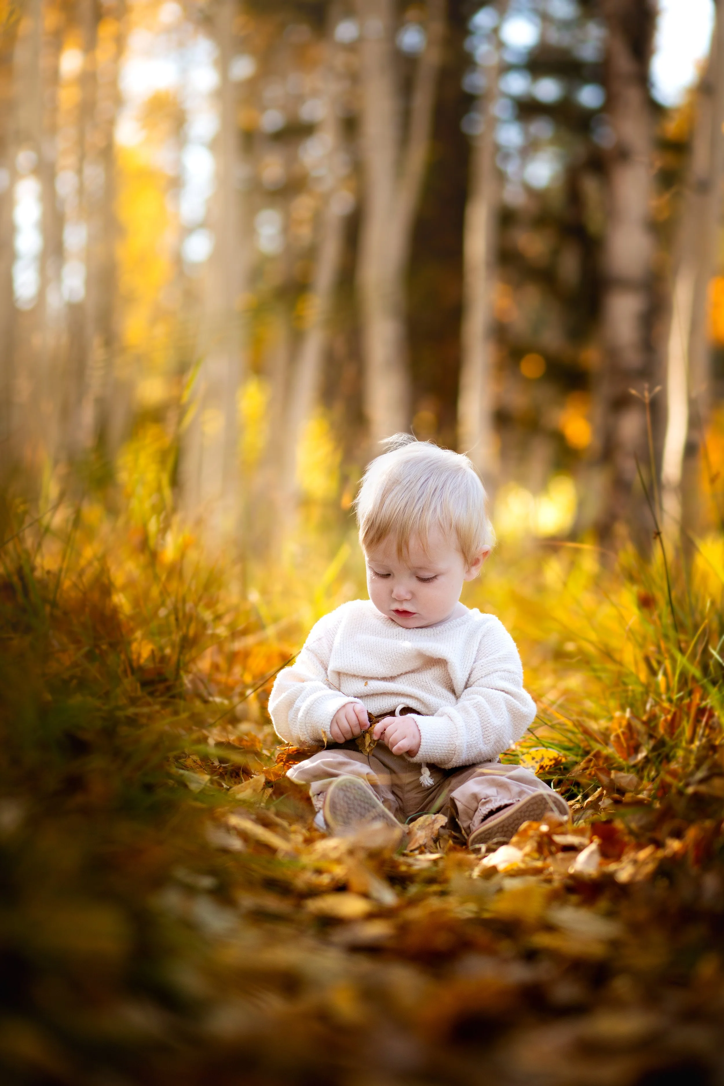 Fall Daydream