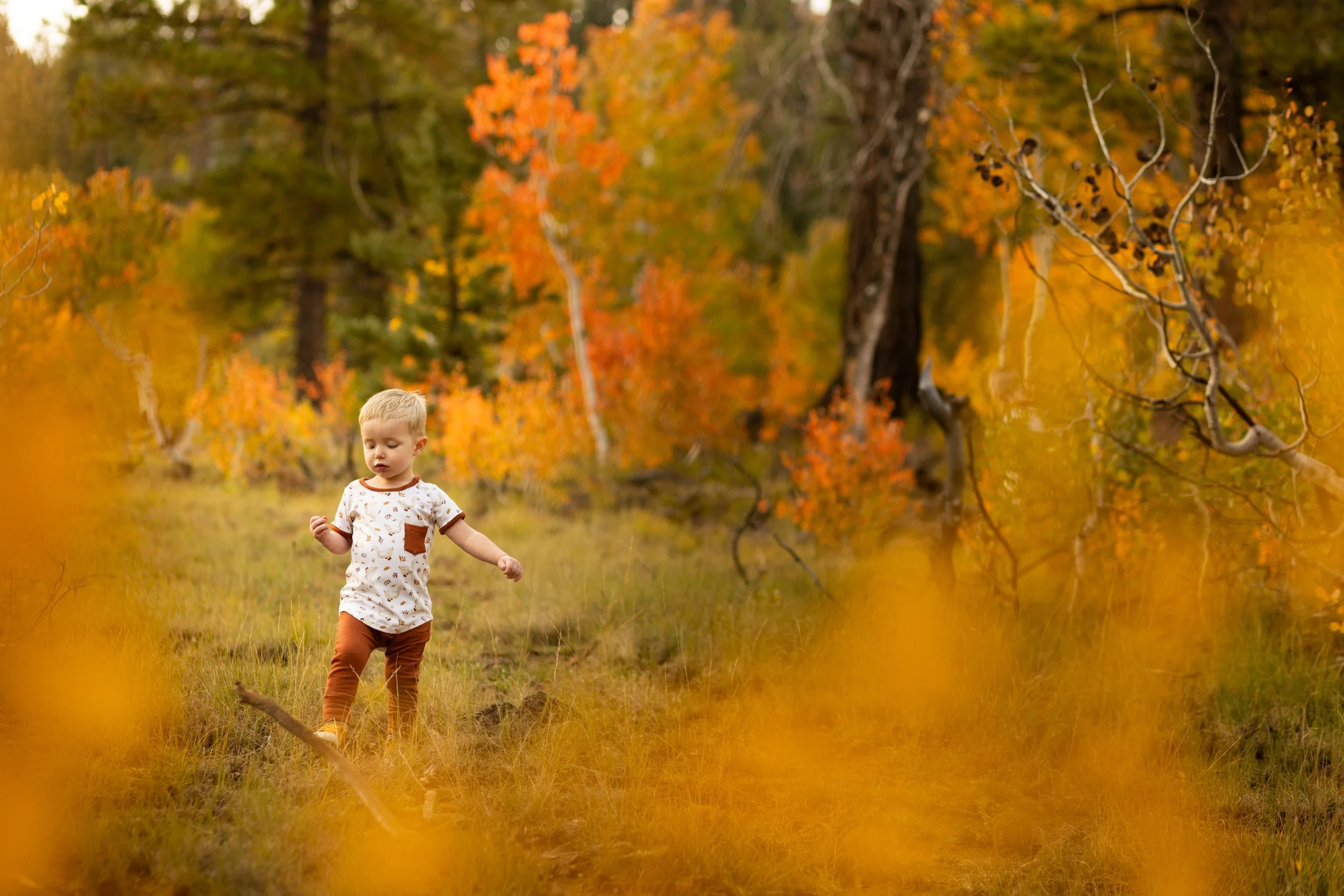 Toddler walking around playing during stress free portrait session on Cedar mountain in Utah.