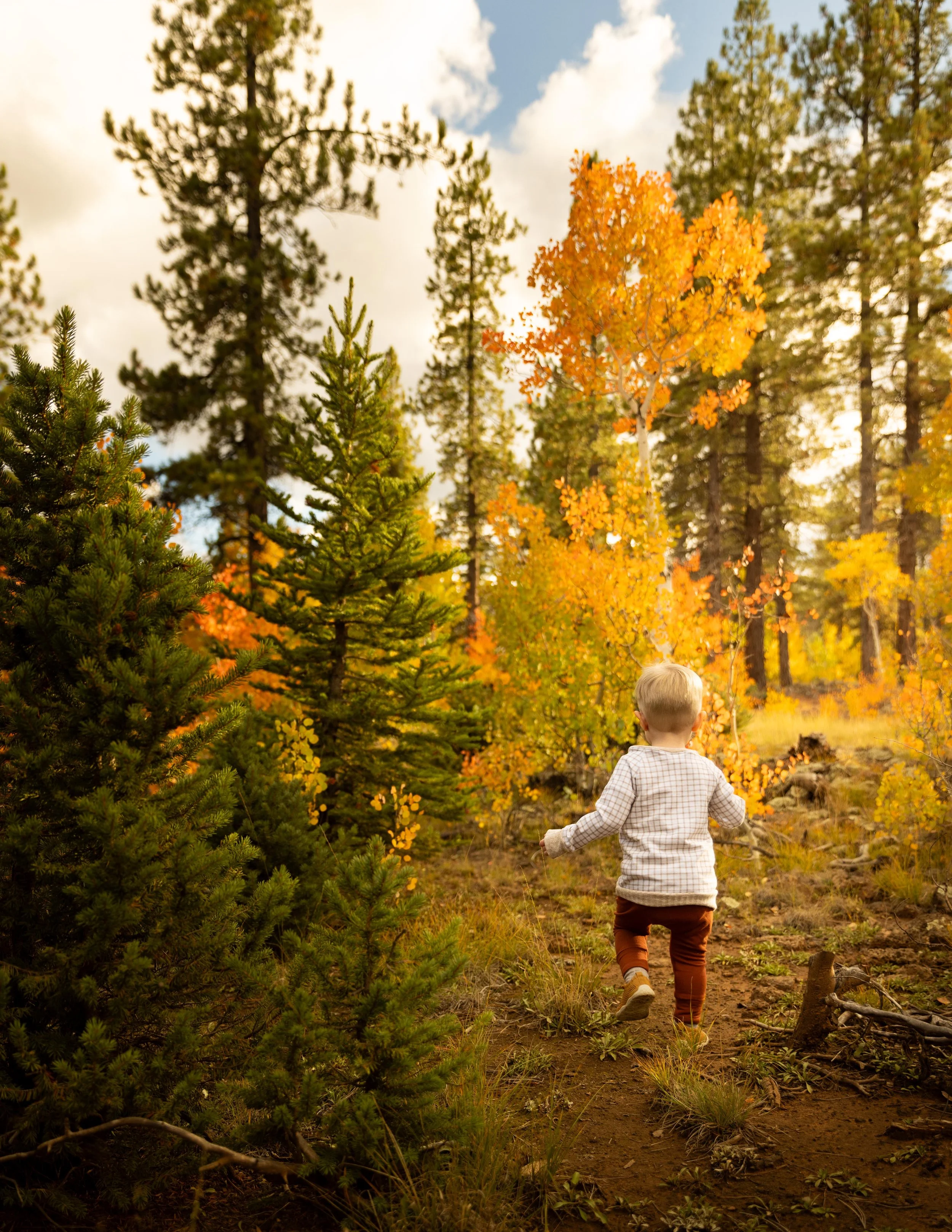 Autumn mountain walk