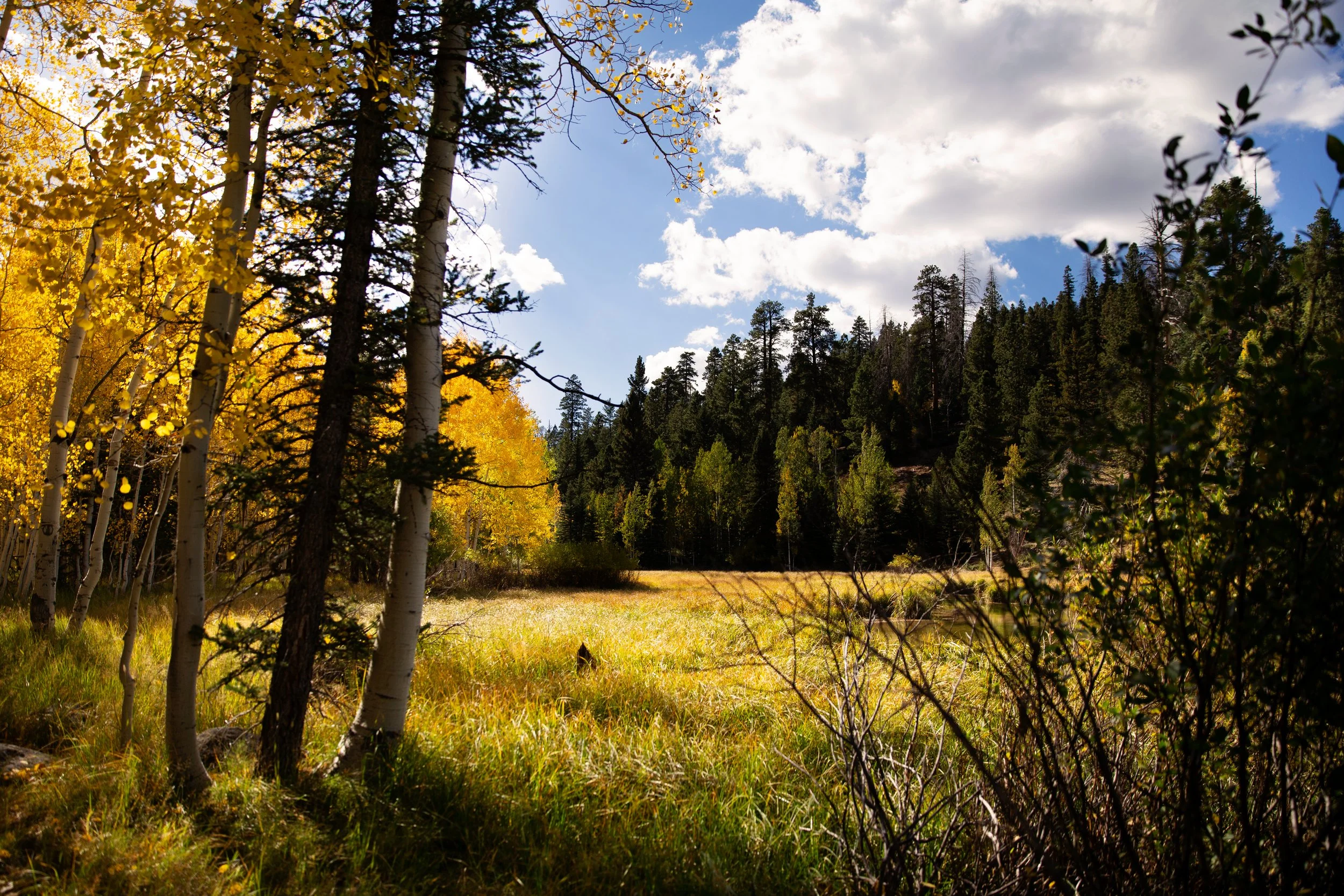 The best fall photo locations in southern Utah