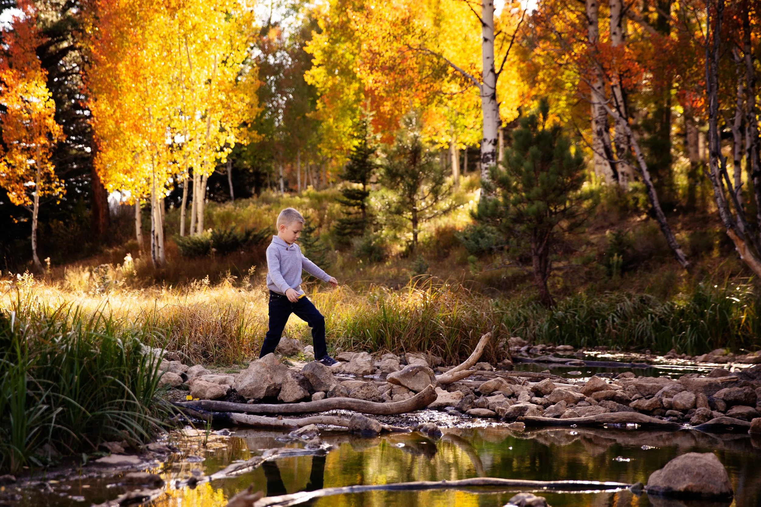 dreamy portrait of a Boy crossing river in cedar mountain during fall with brightliy colored leaves in the background on cedar mountain in Utah.