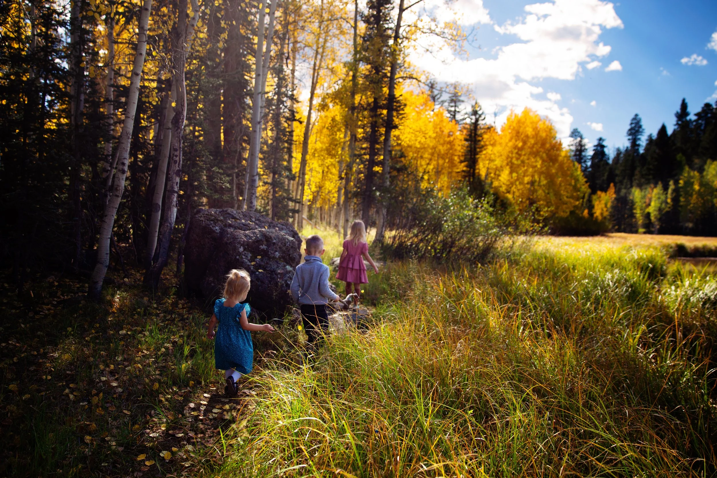 Fall Family Portraits Utah