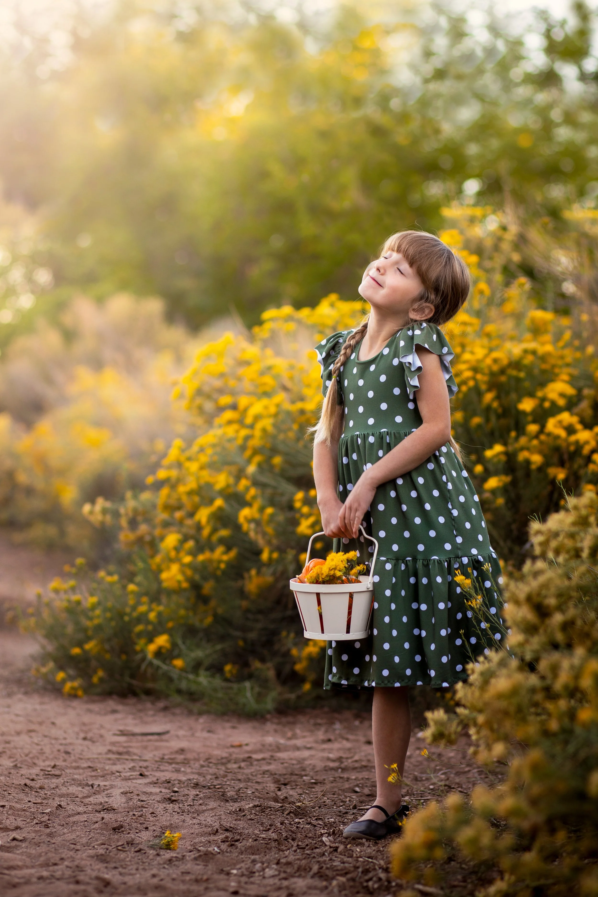 Rabbitbrush dream