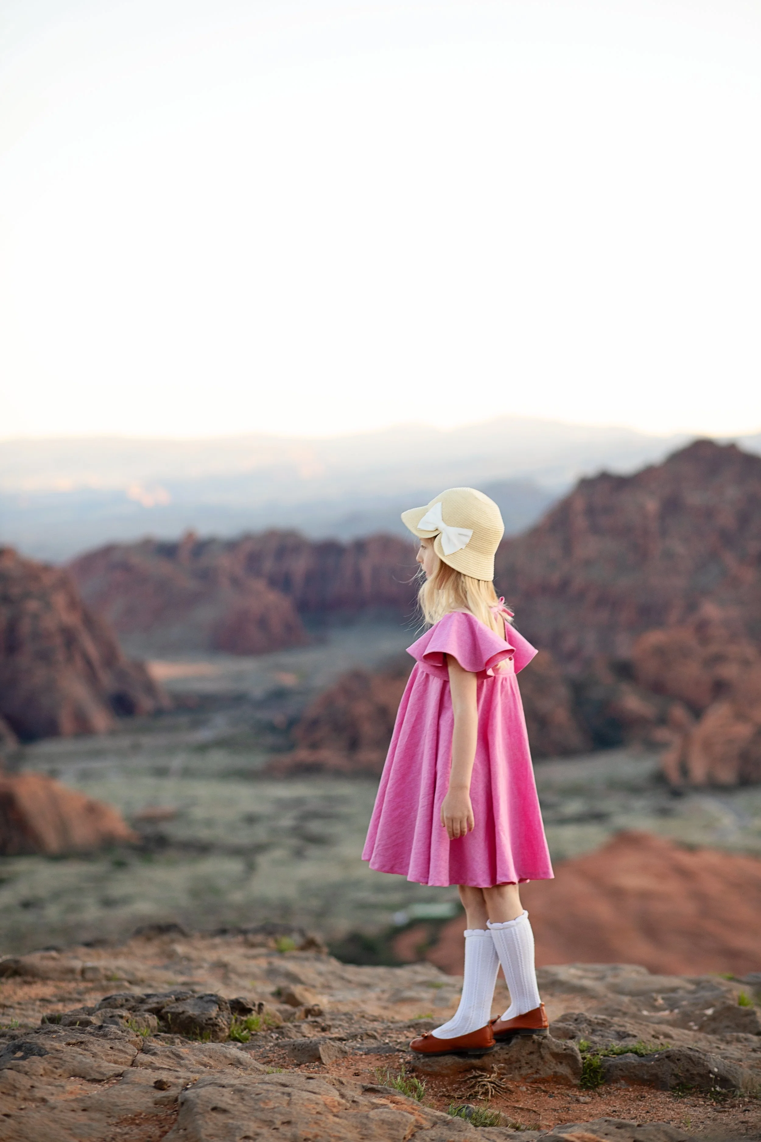 Overlooking the desert