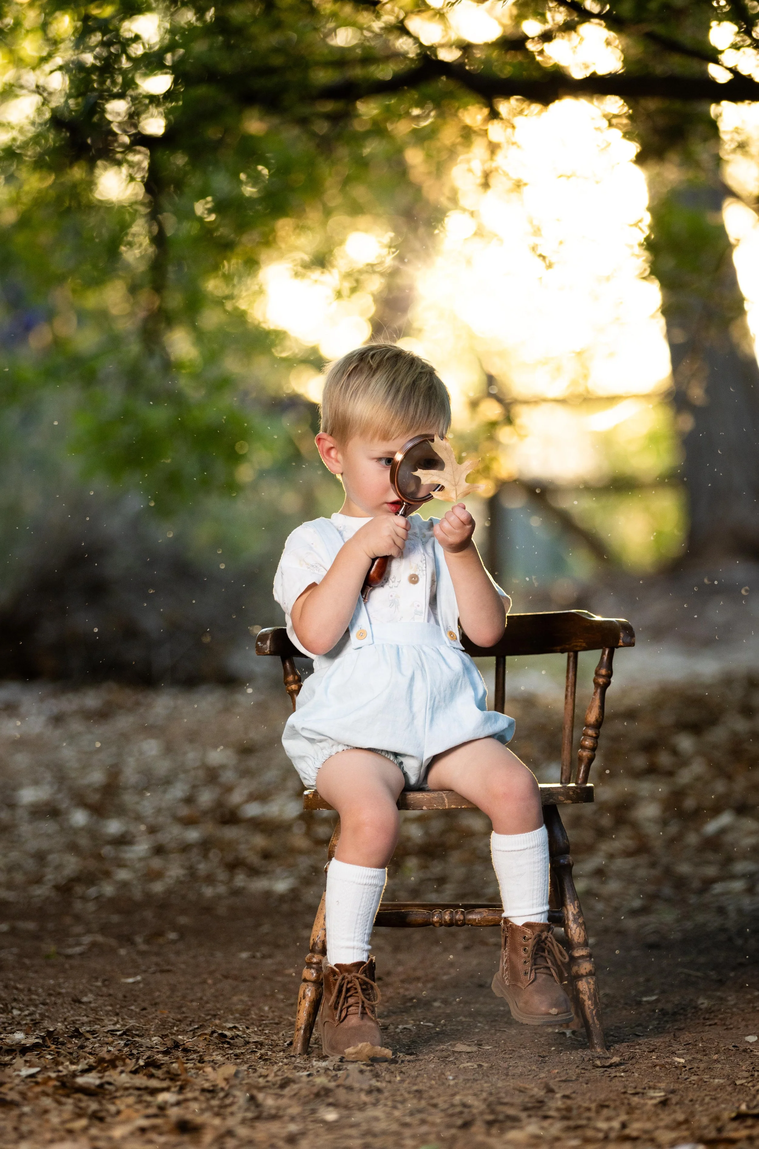 Through the magnifying glass 