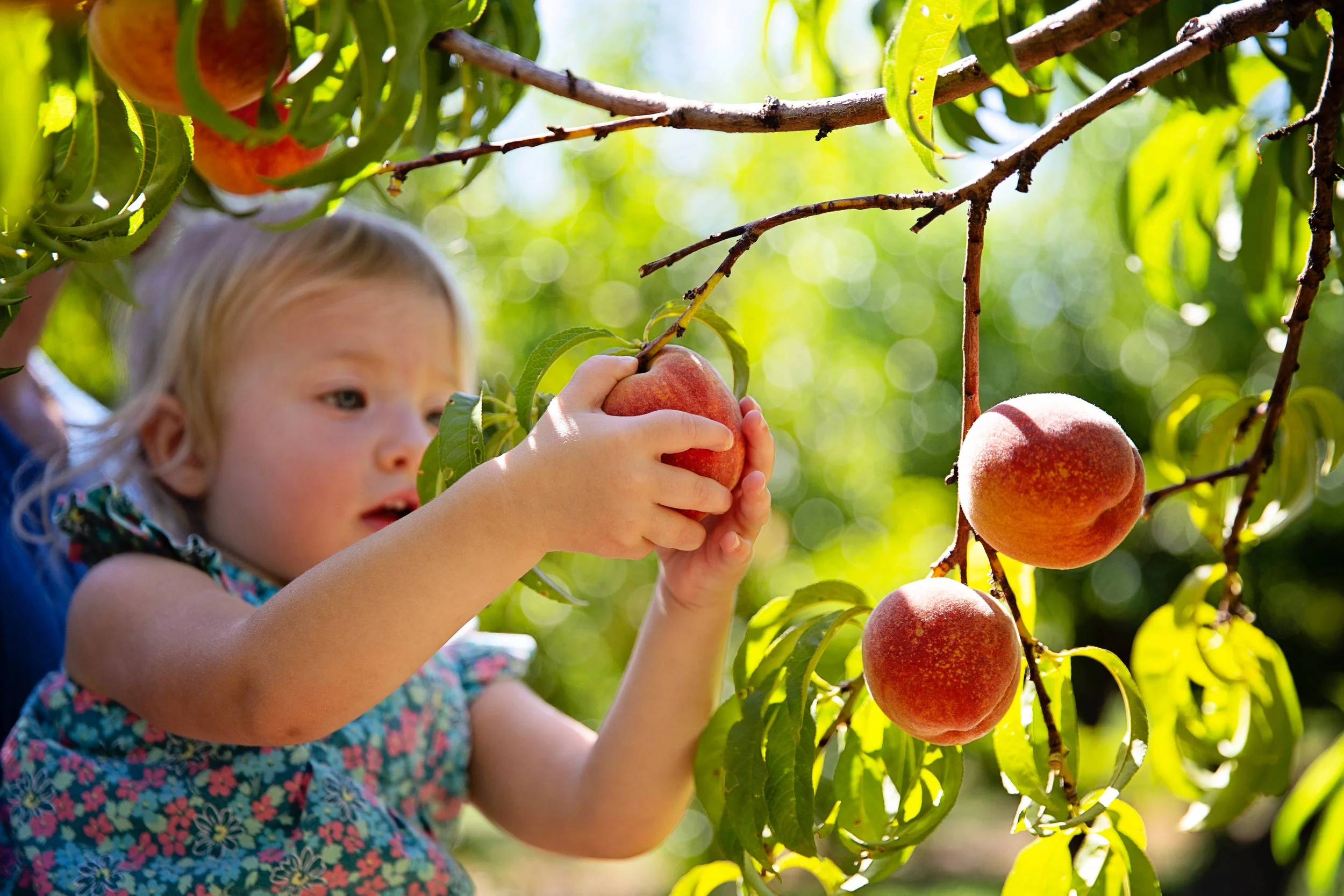 Find The Magic Photo Hunt — 50 prompts to help you start seeing the magic