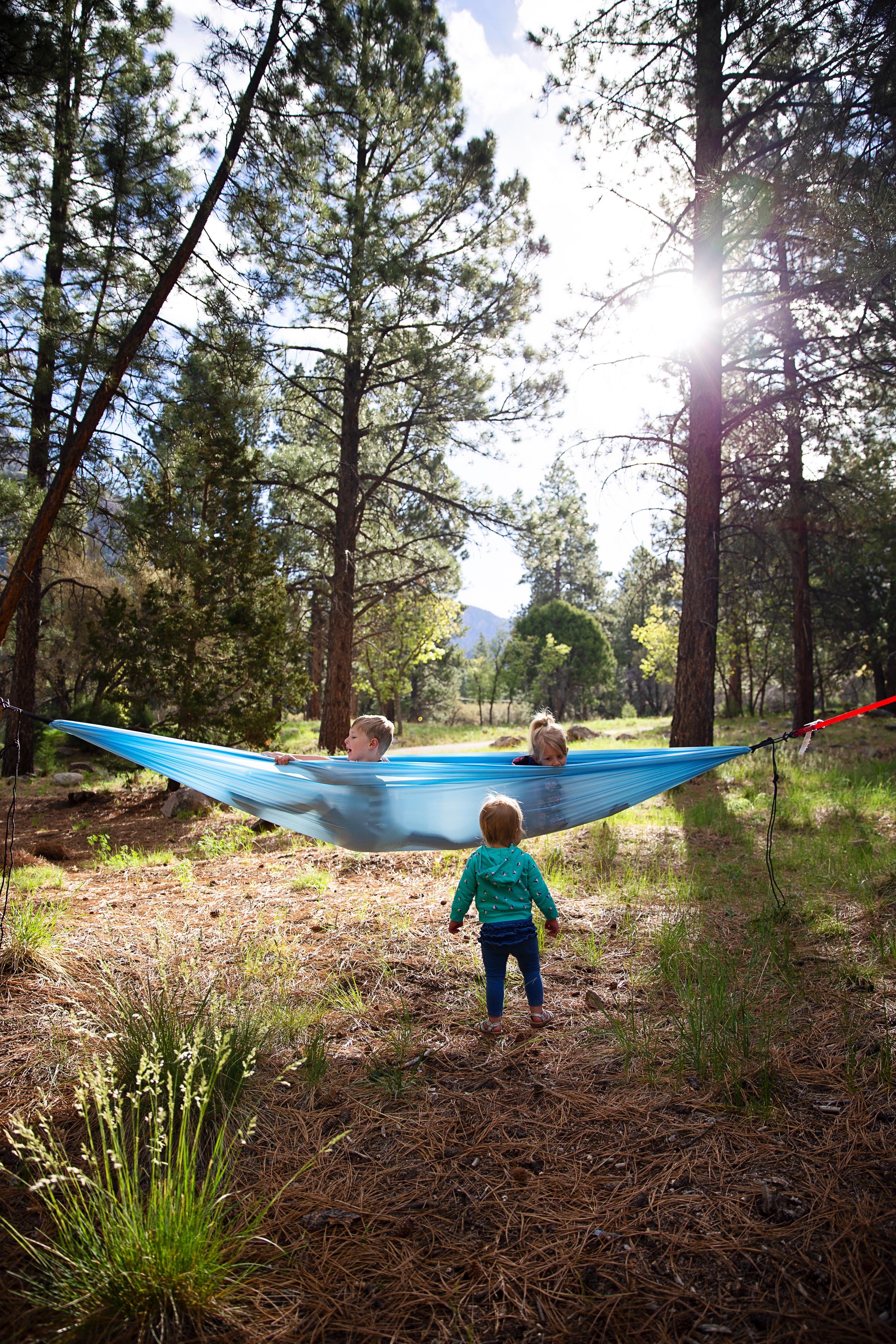 Hammock 