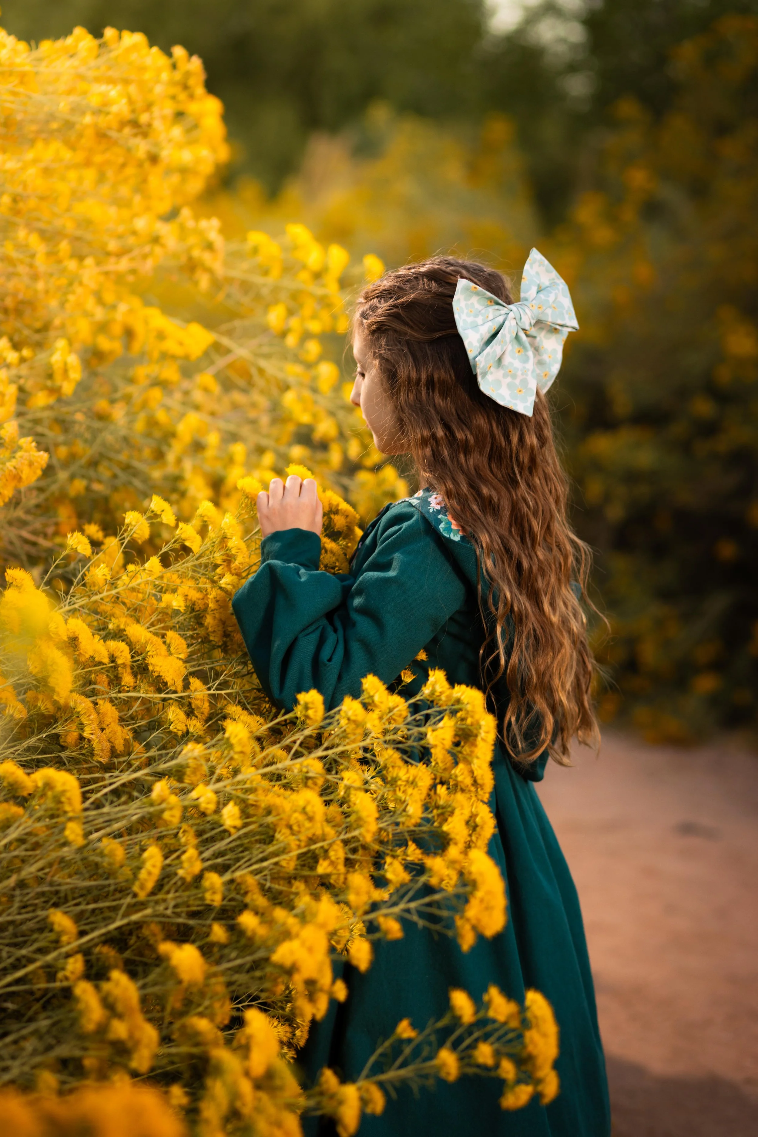 amongst the yellow flowers