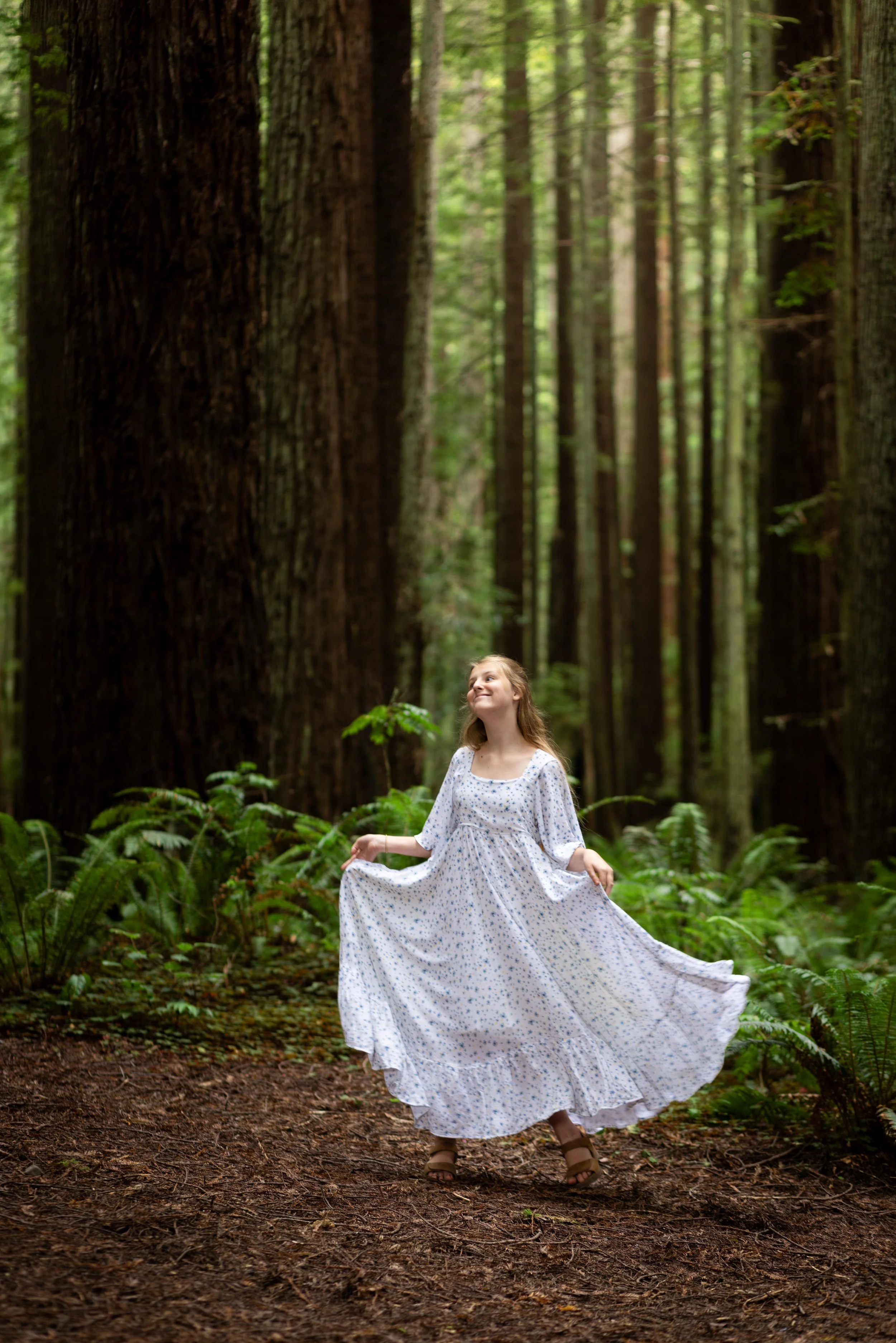 magic forest 