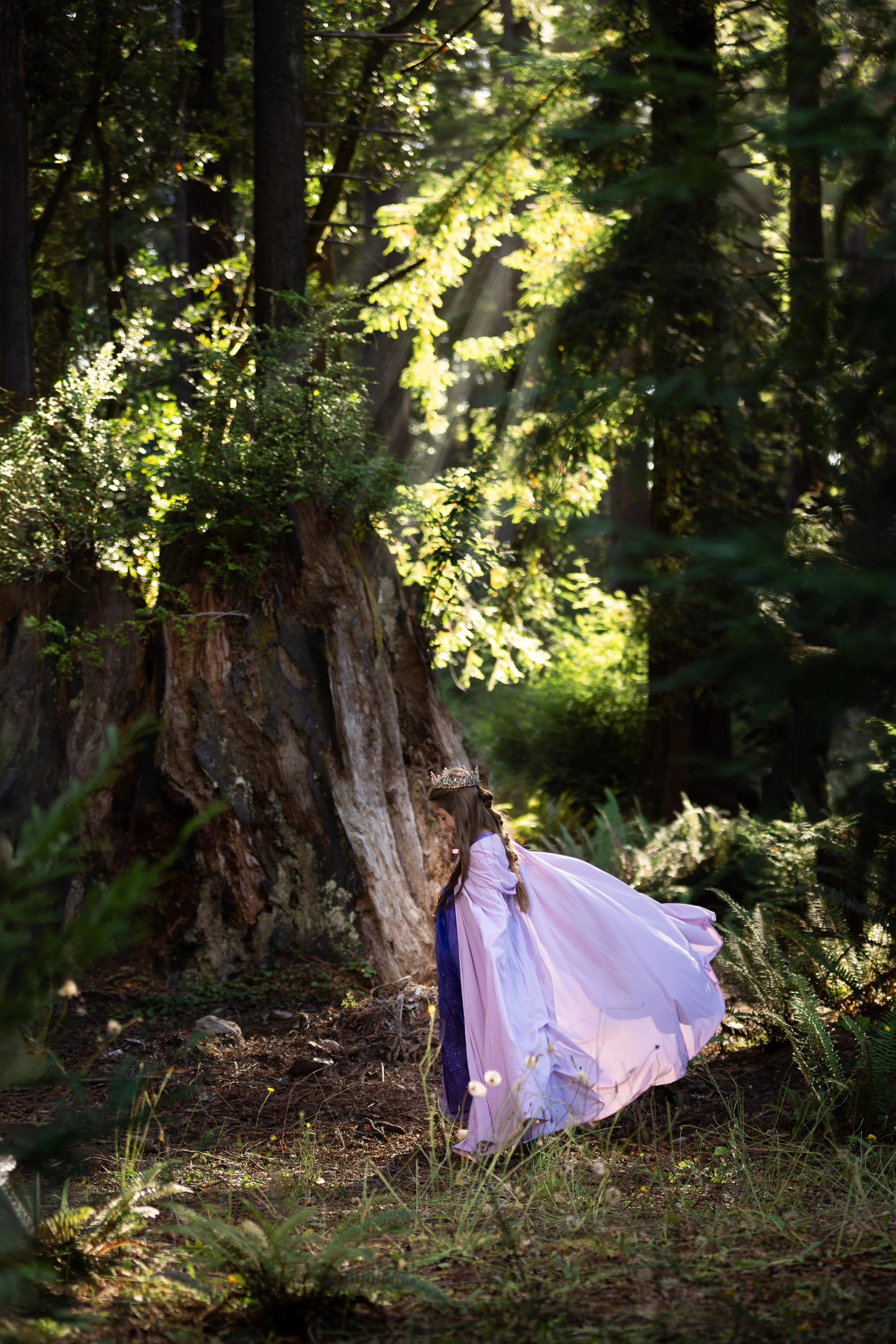 Enchanted forest princess