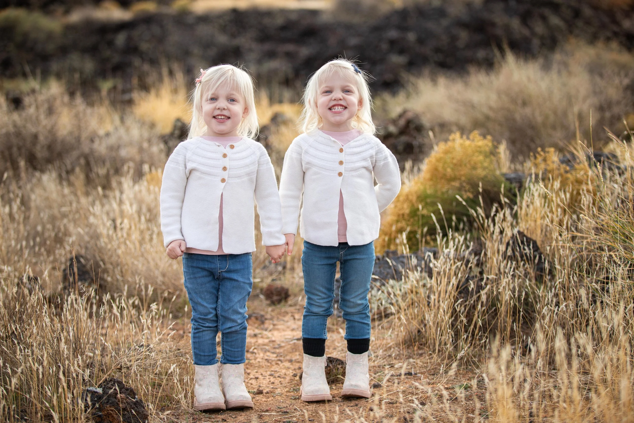 Twins_family_portraits_St_george_utah.jpeg
