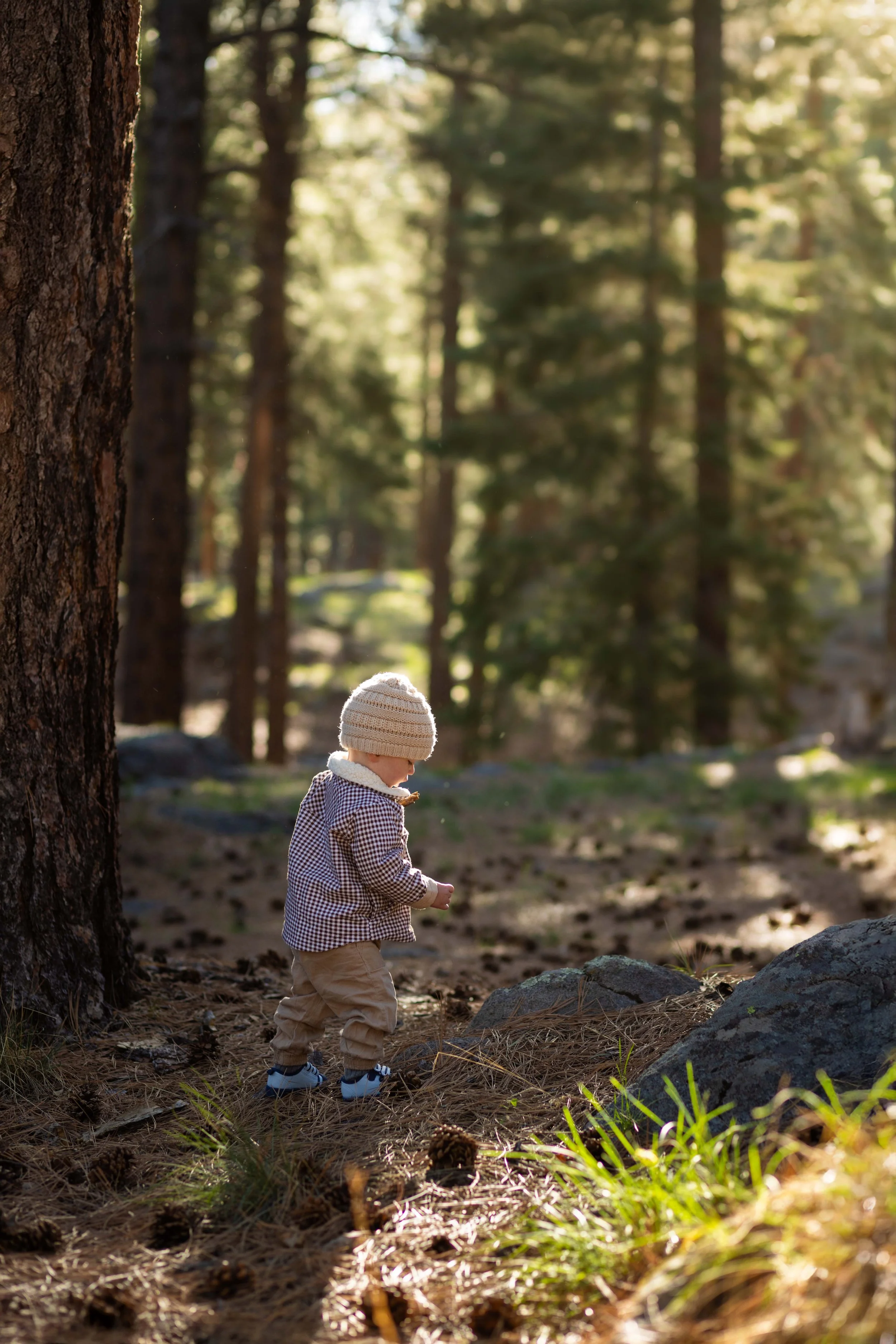 Lifestyle photographer - utah - pine valley mountains