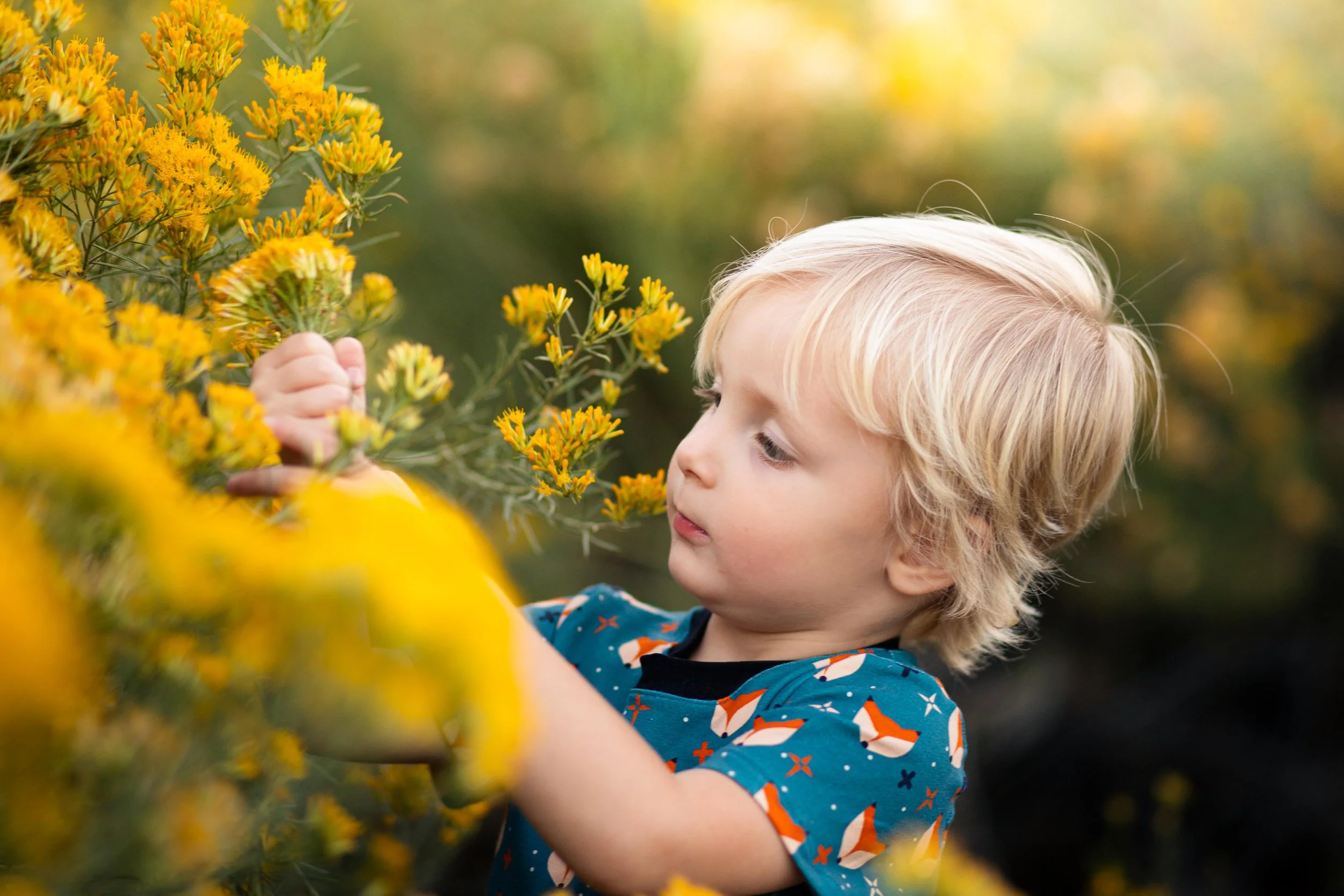 Flower for mommy