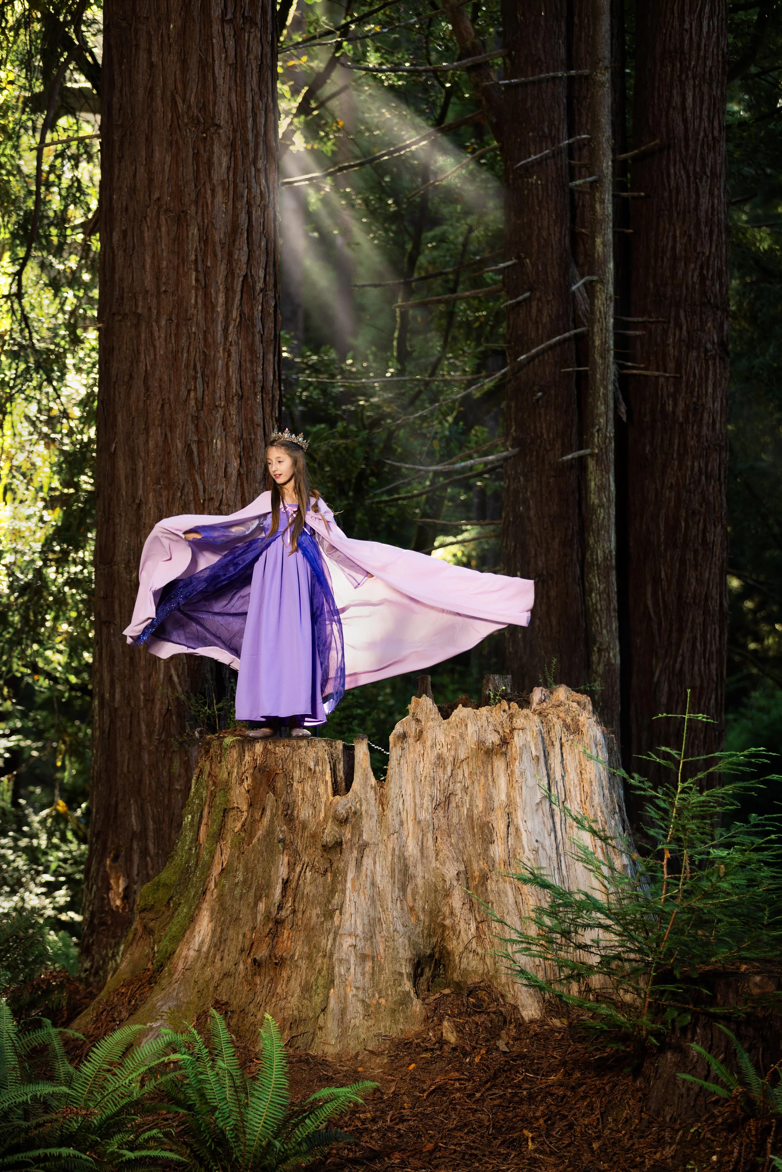 Girl dressed in a purple gown with a crown on her head standing on a trunk of a  giant redwood tree in Jedediah Smith Redwood State park in California.