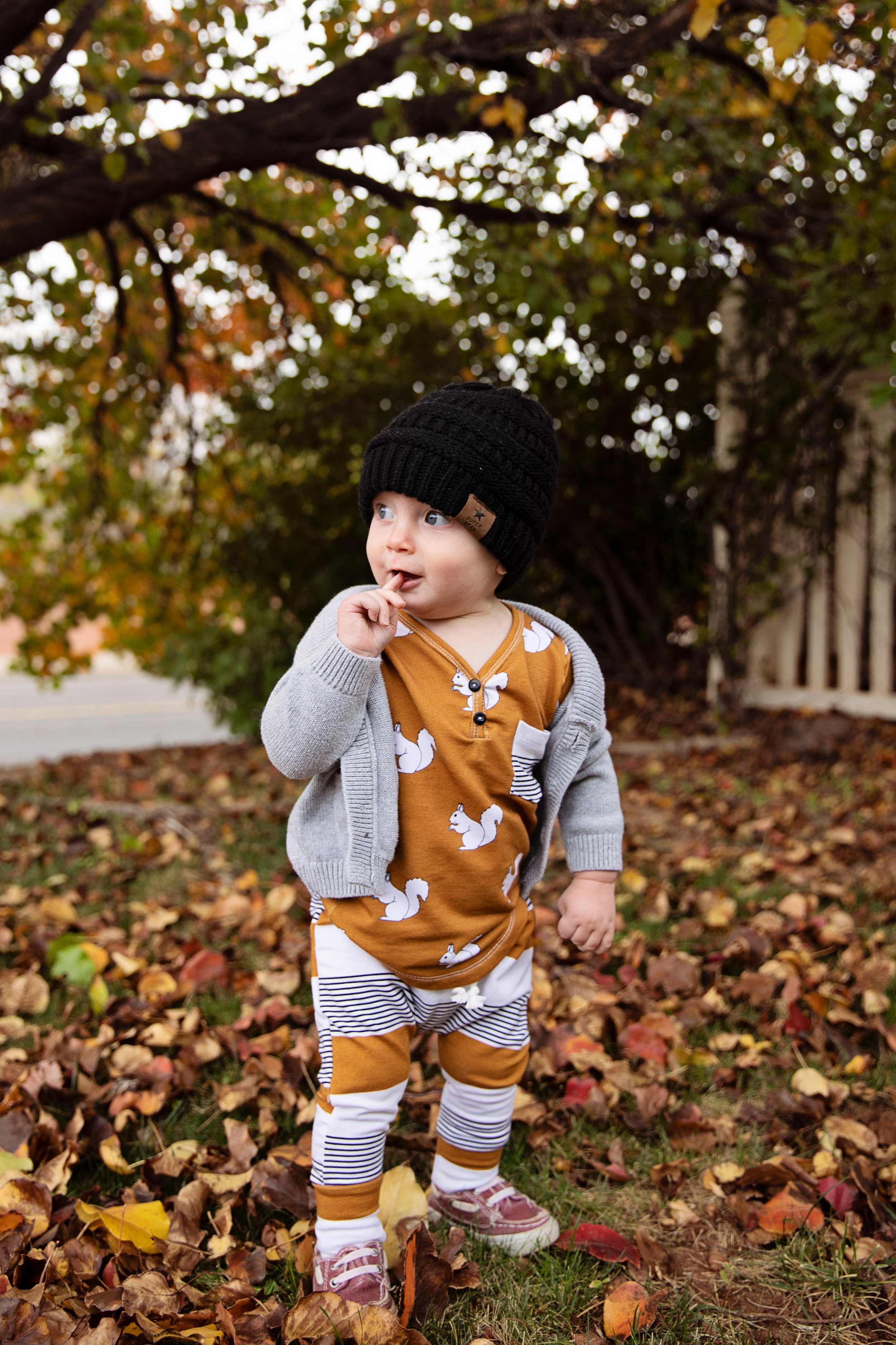 cozy fall