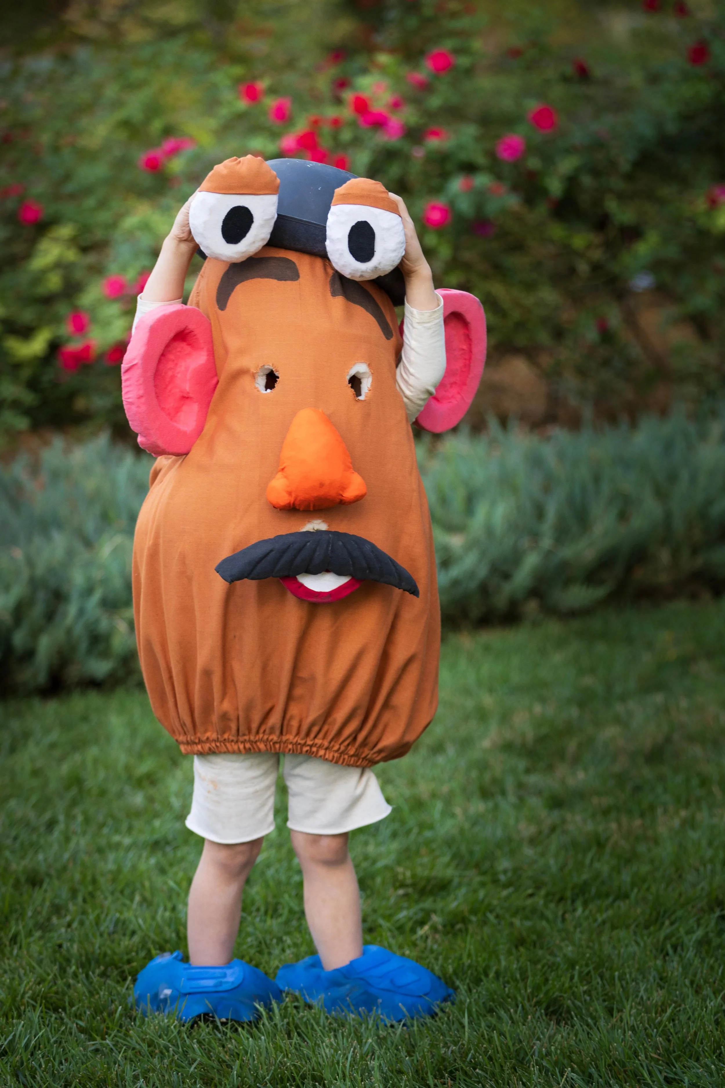 Whimsical Family photography St. George Utah