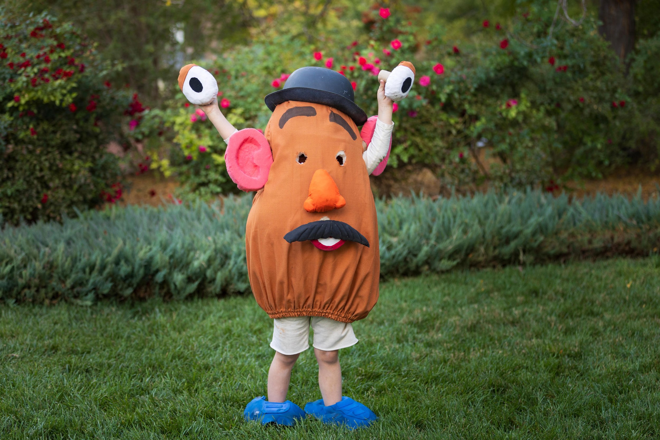 Fun and whimsical child portraits in St. George Utah