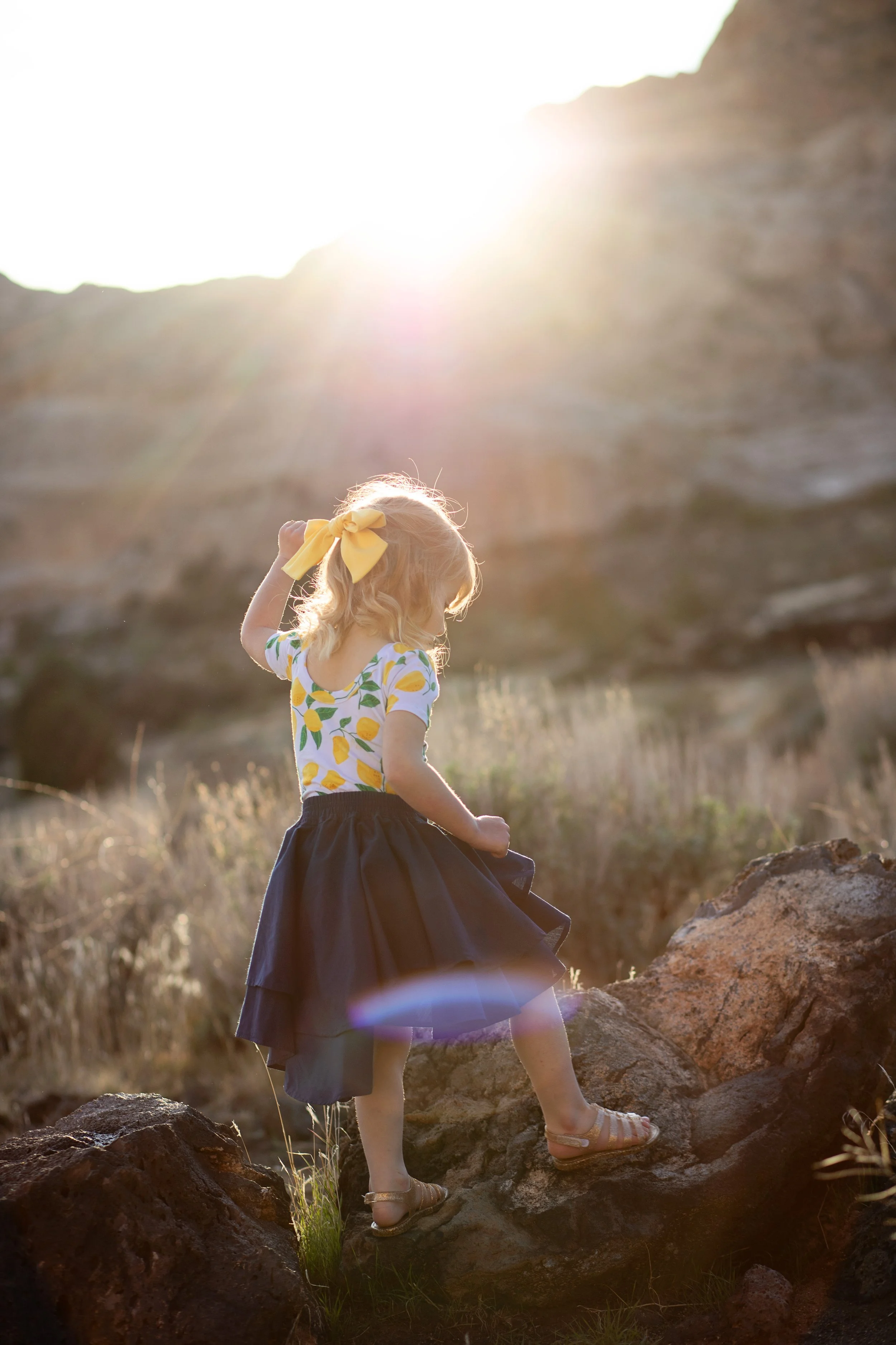 Golden hour in the desert