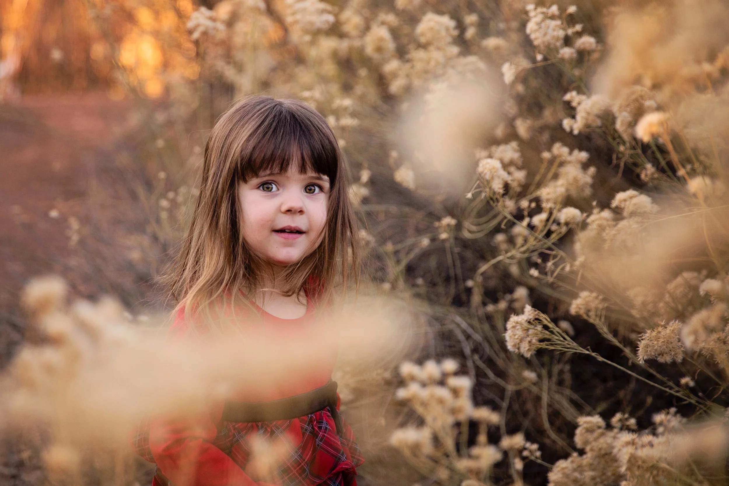 Utah Photographer - autumn colors in southern Utah - photos at Tonaquaint Nature center.