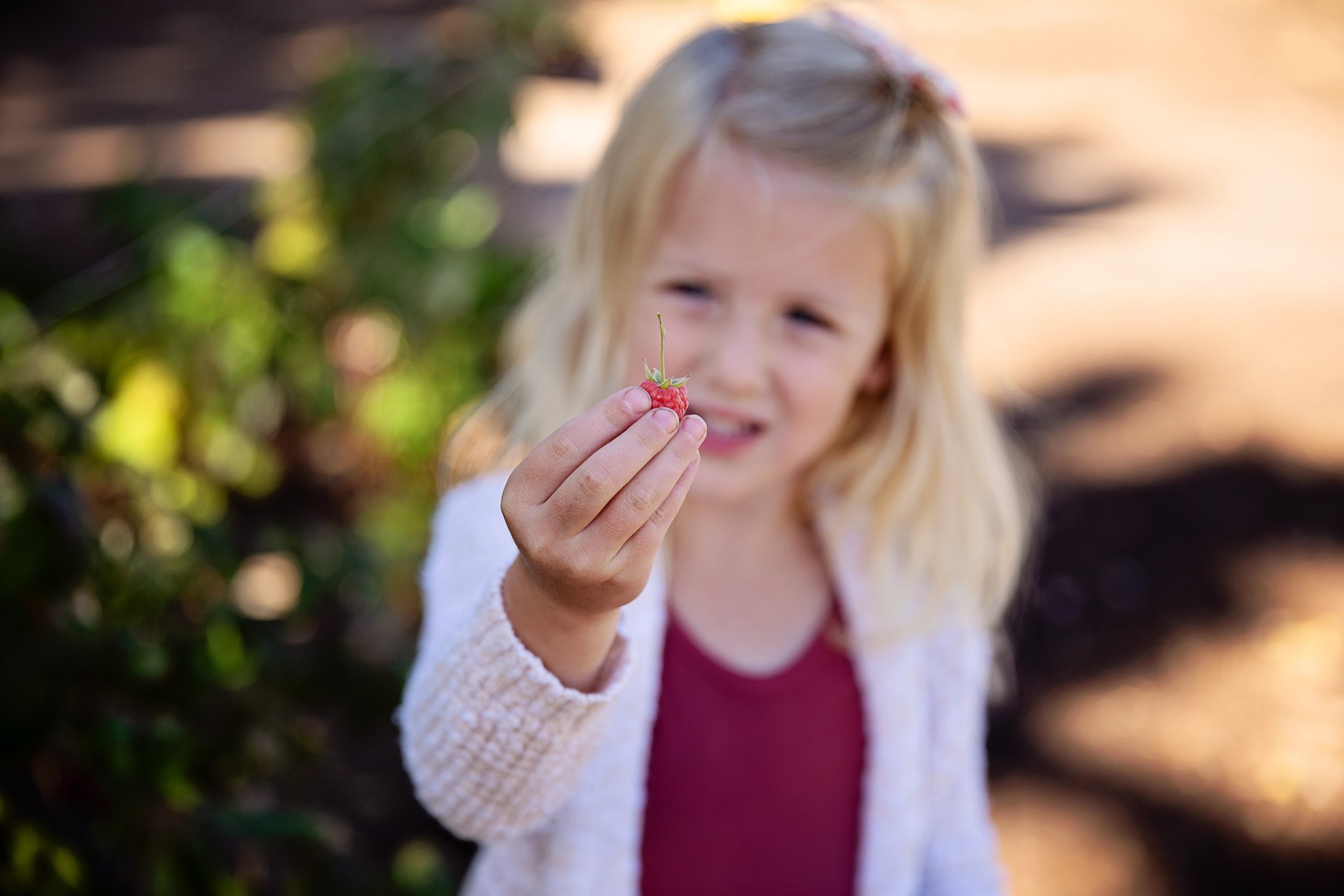 Girl holding a raspberry up after picking it in Utah.
