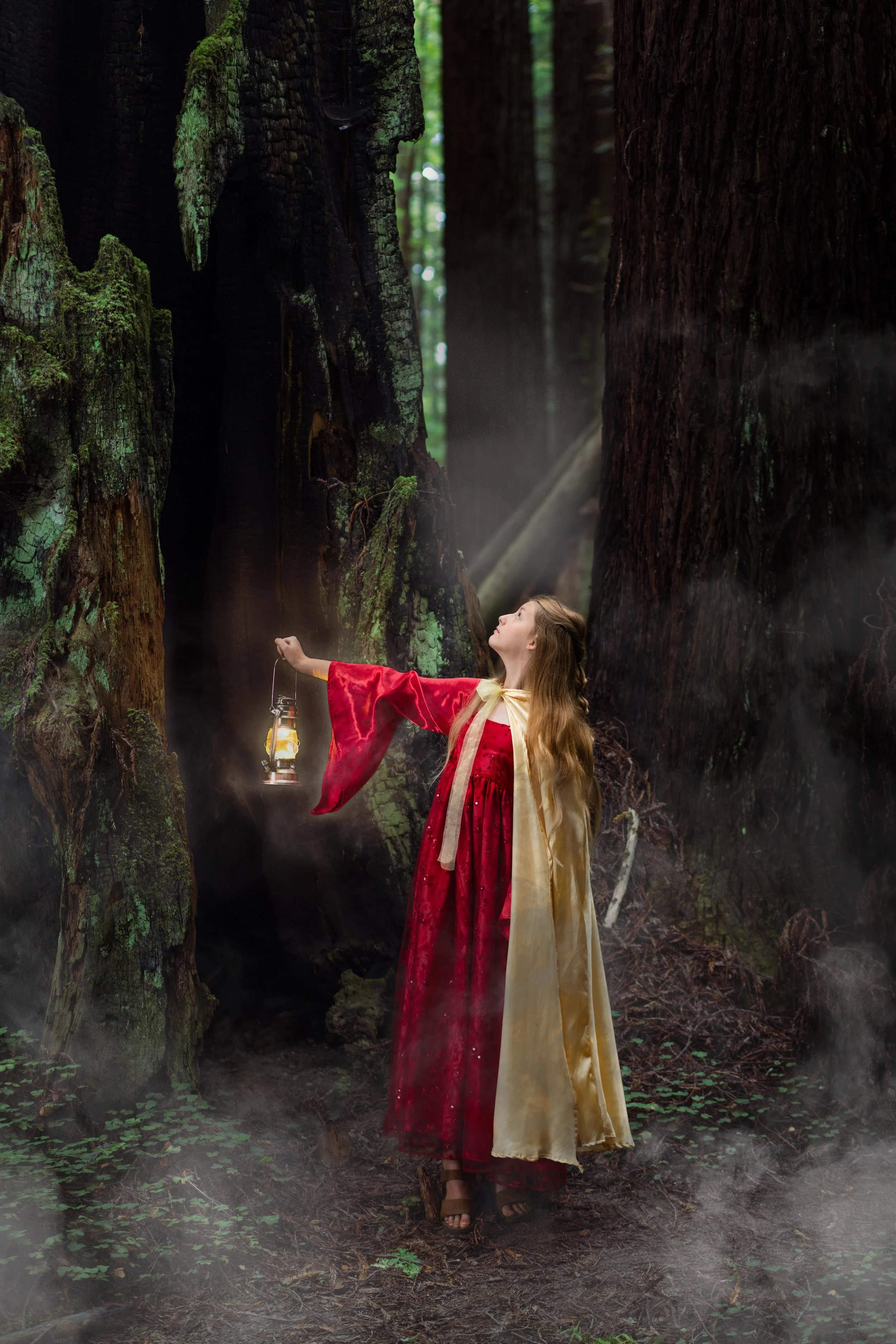 magical photo of a Girl holding lantern in the redwood forest dressed as a princess.