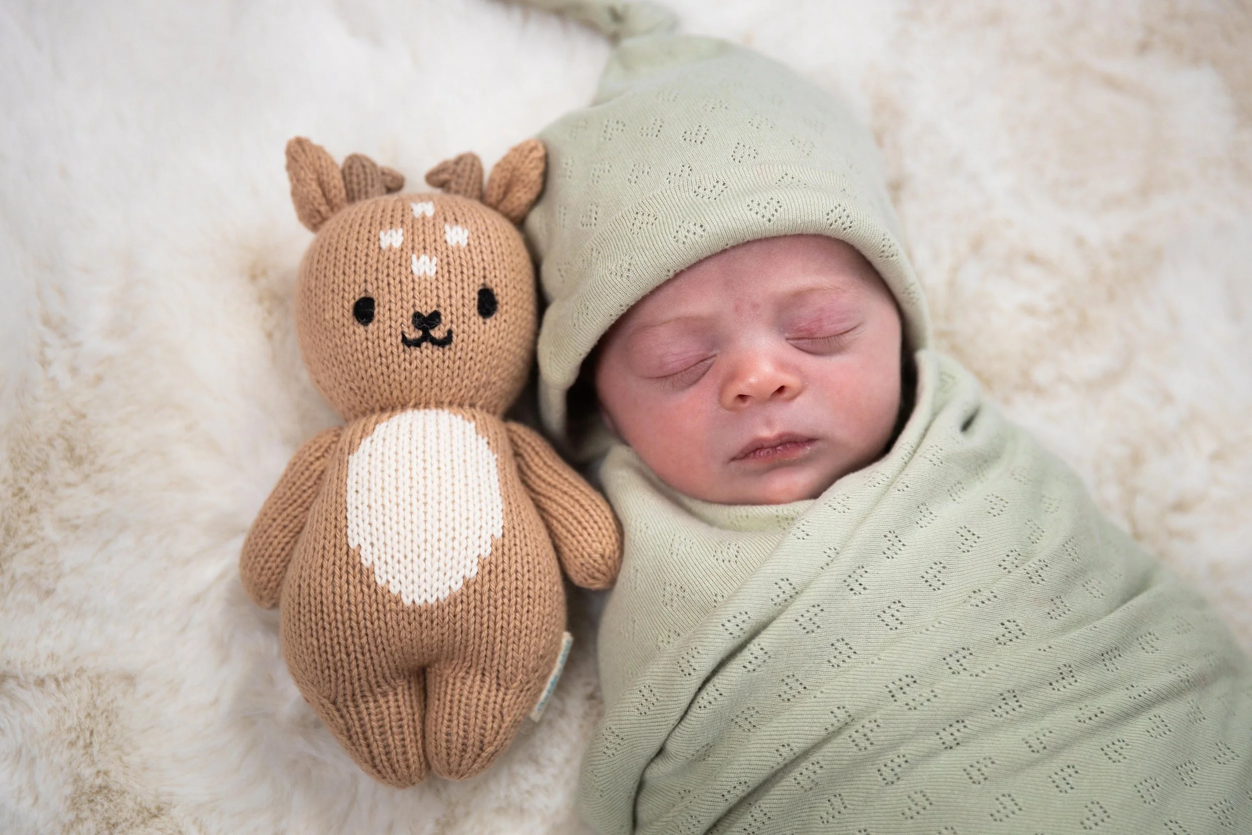 Newborn baby snuggled up during a photography session.
