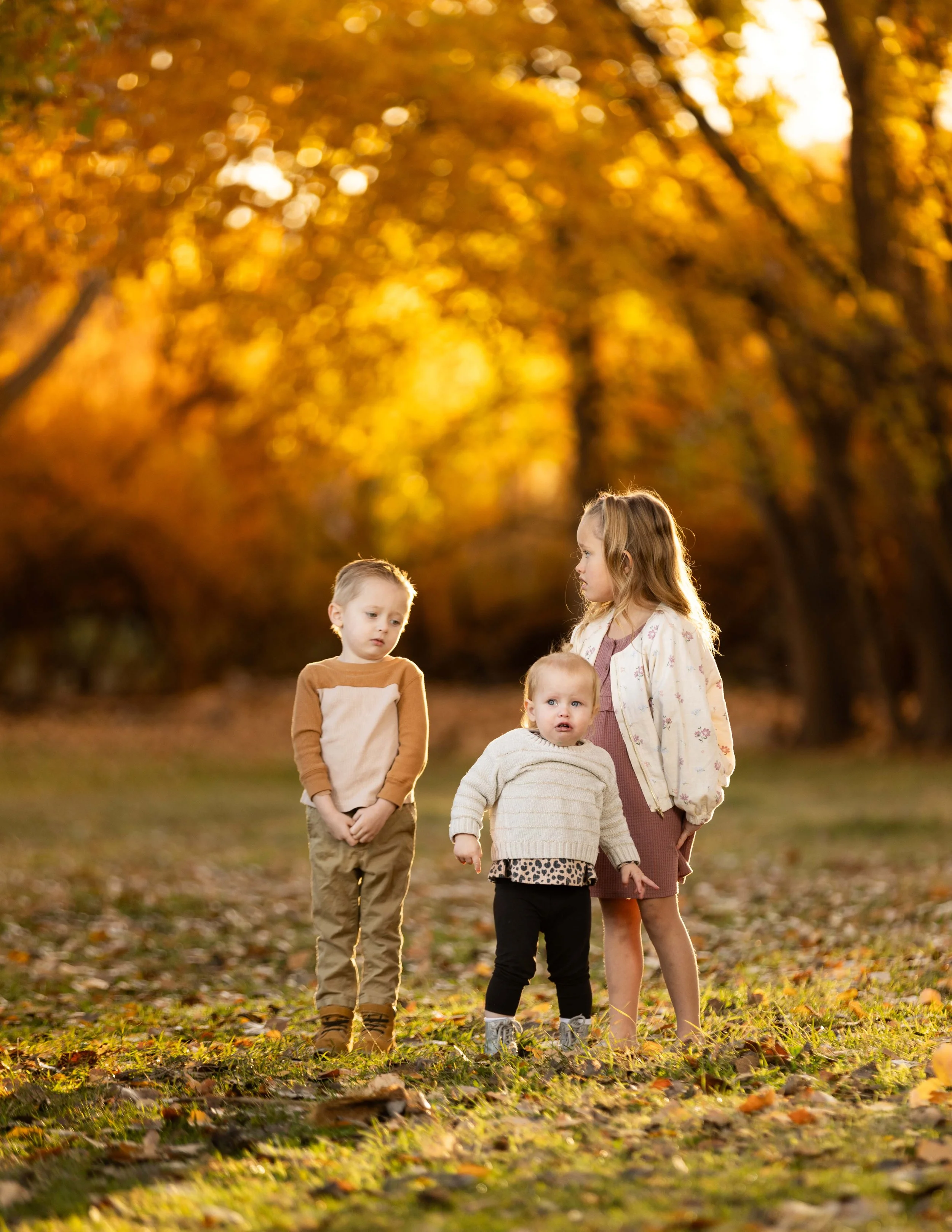 Golden leaves