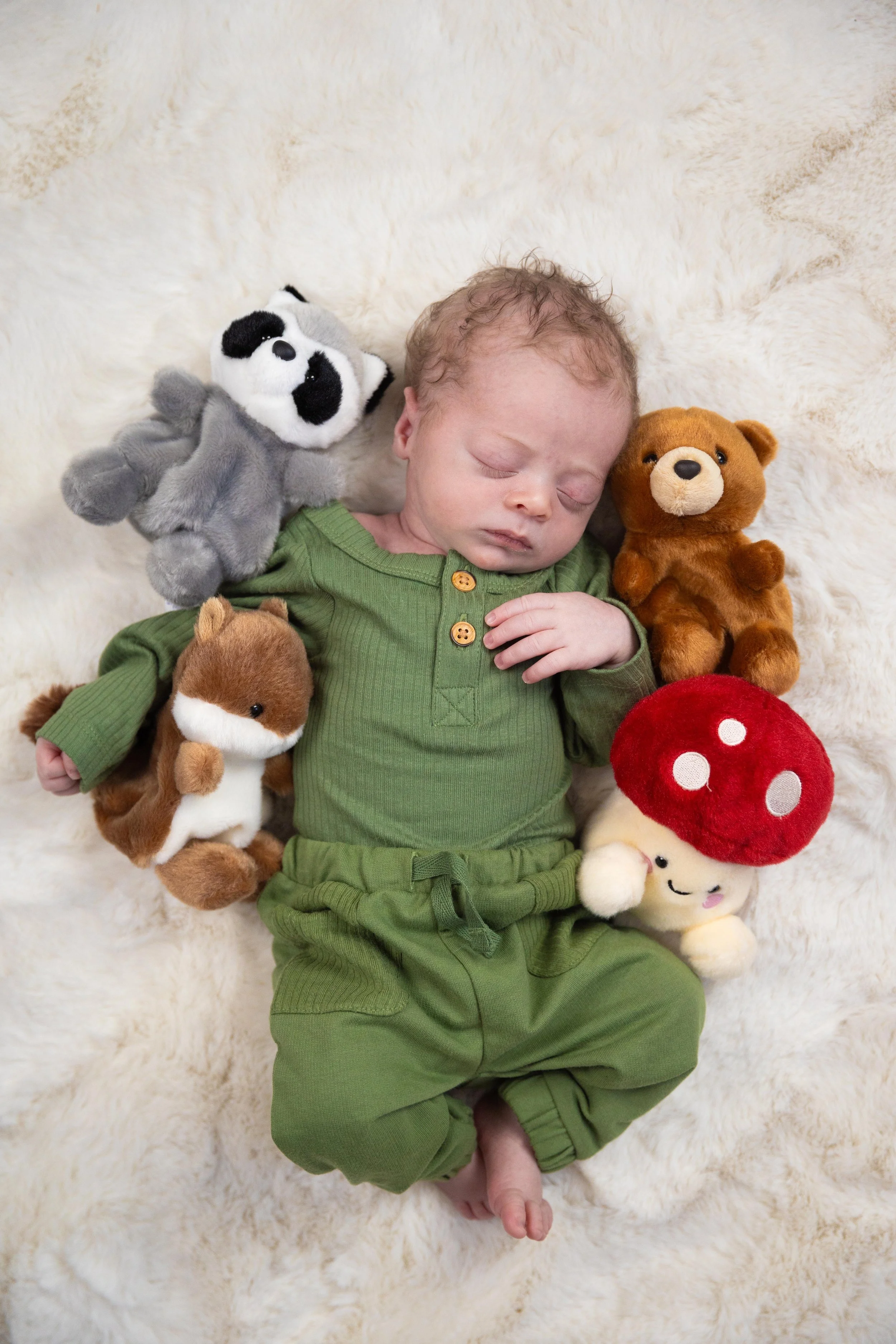 Southern utah lifestyle newborn photographer