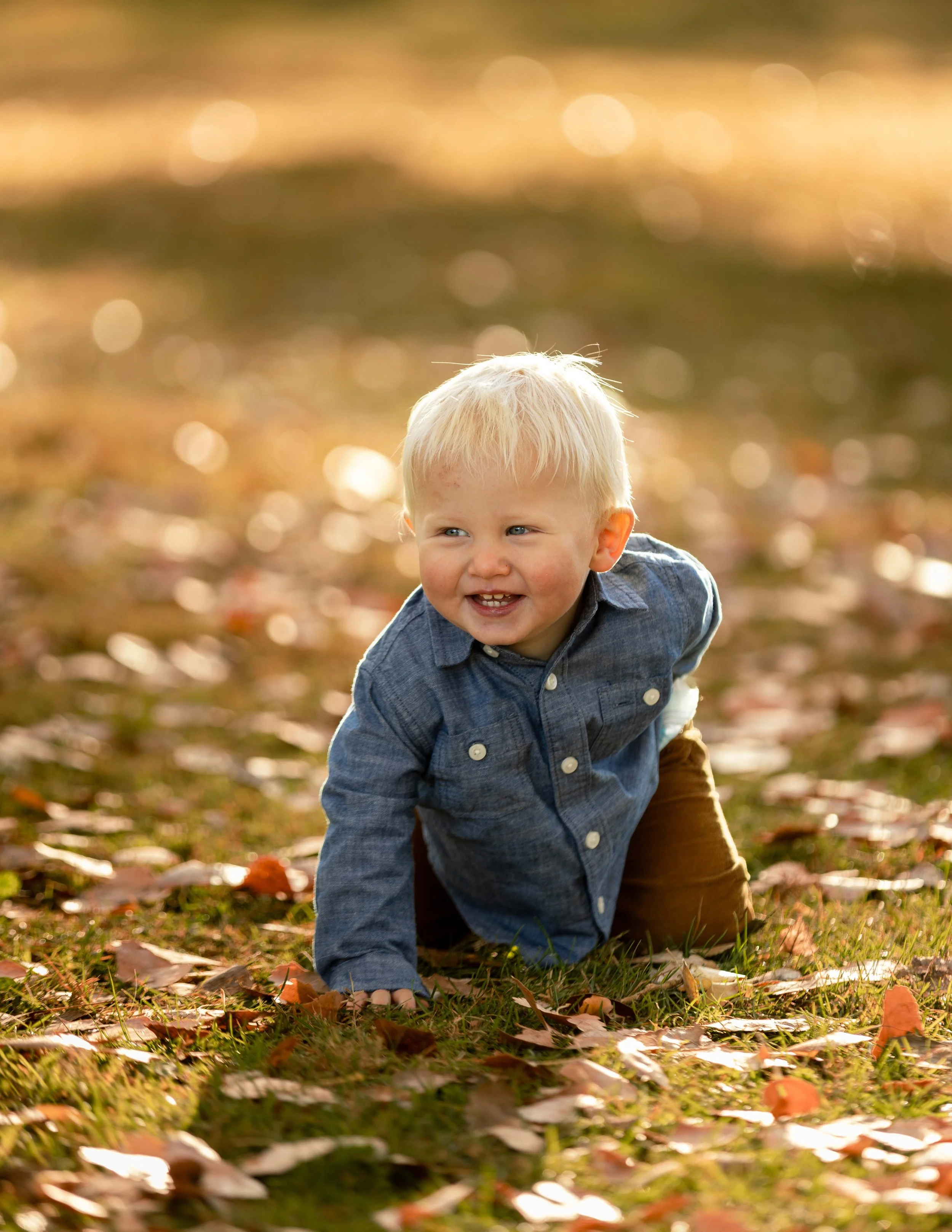 Baby portrait