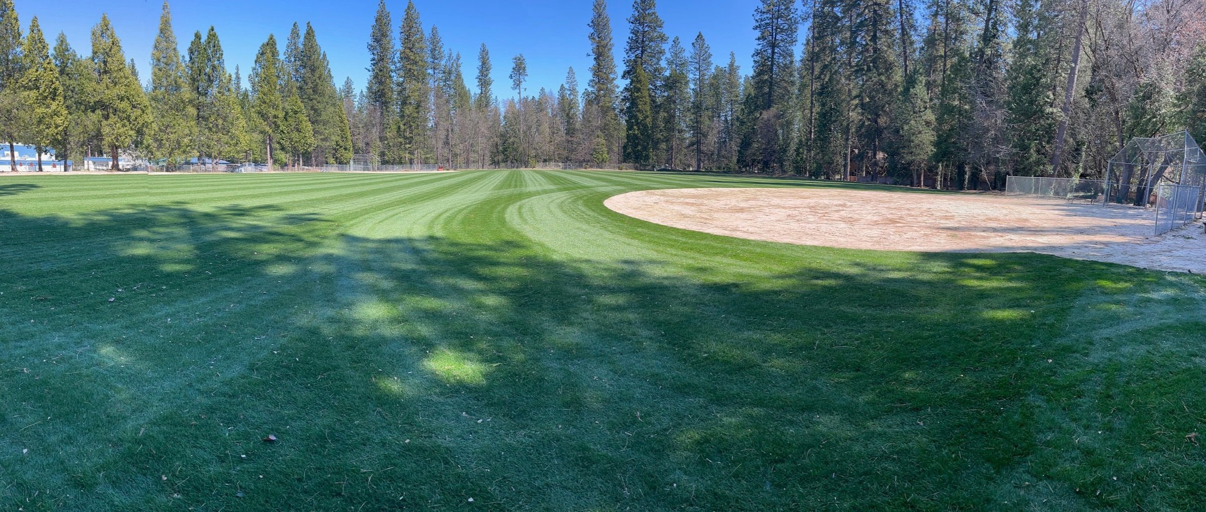 Finished field