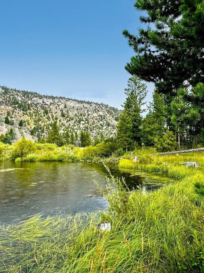 Beaver Ponds Optimized.jpeg