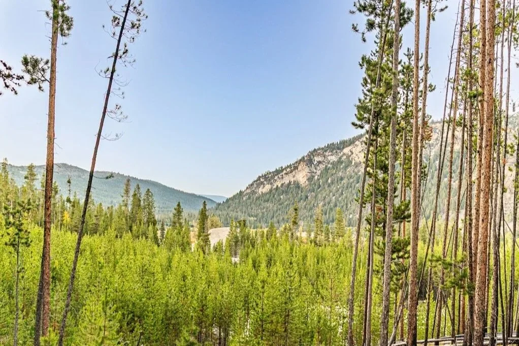 Lot 3 Moonbase Woods