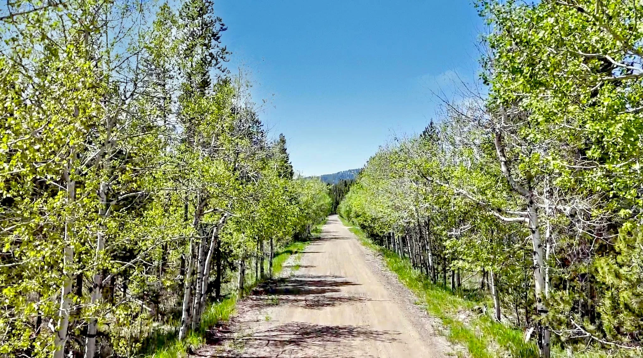 Harris Rd Optimized.jpeg