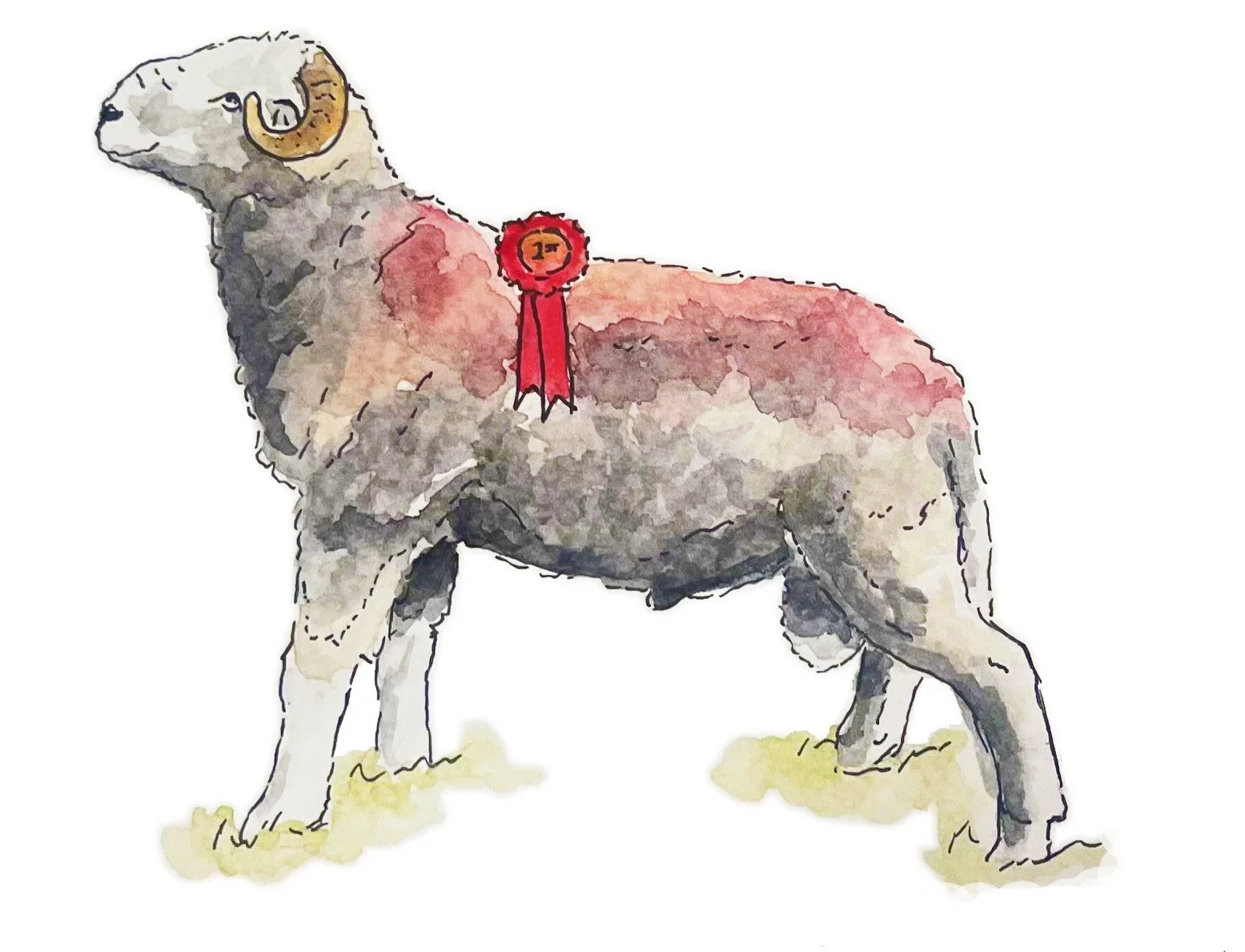 champion edited nose.jpeg