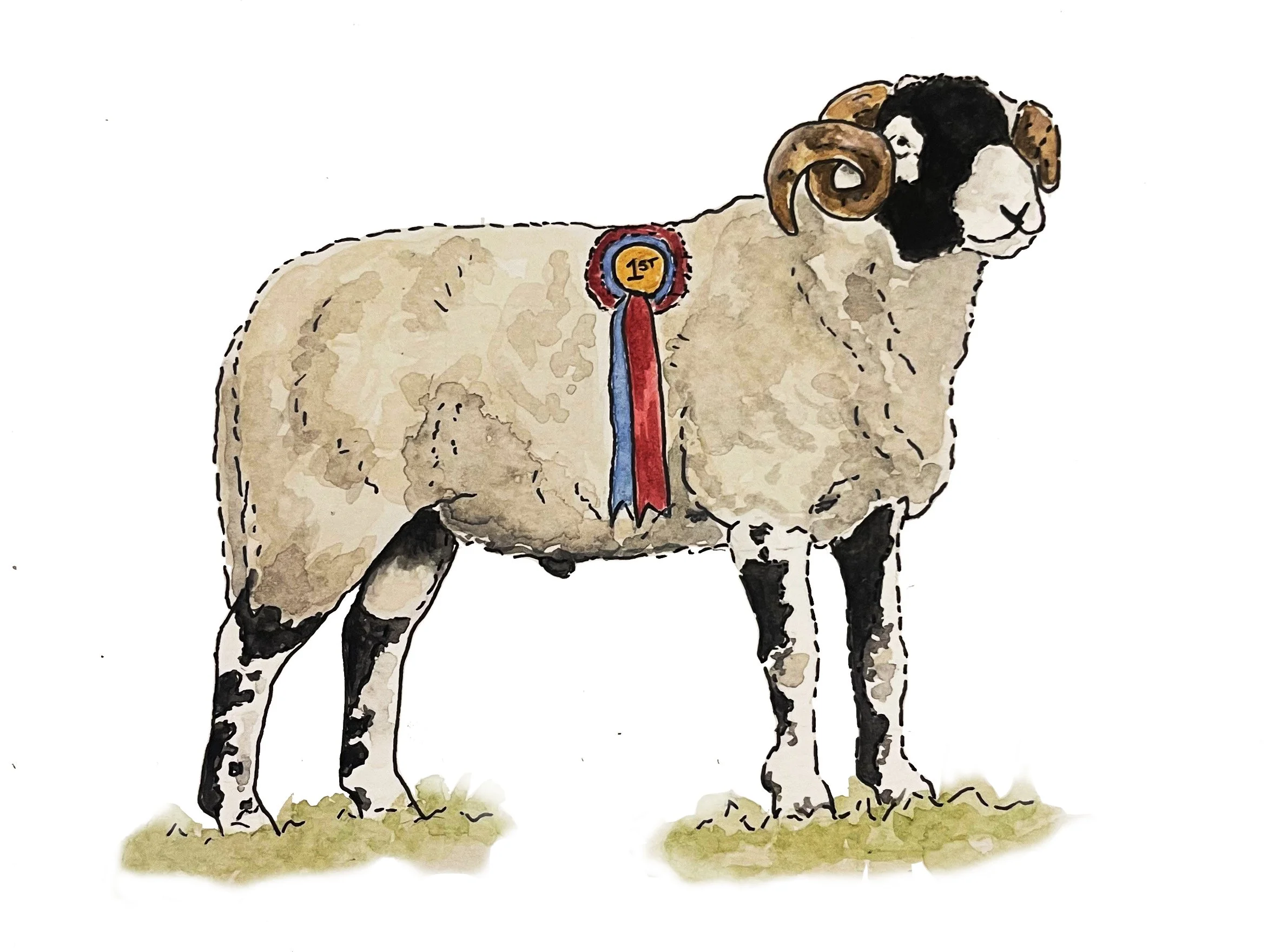 Swaledale edited.jpeg