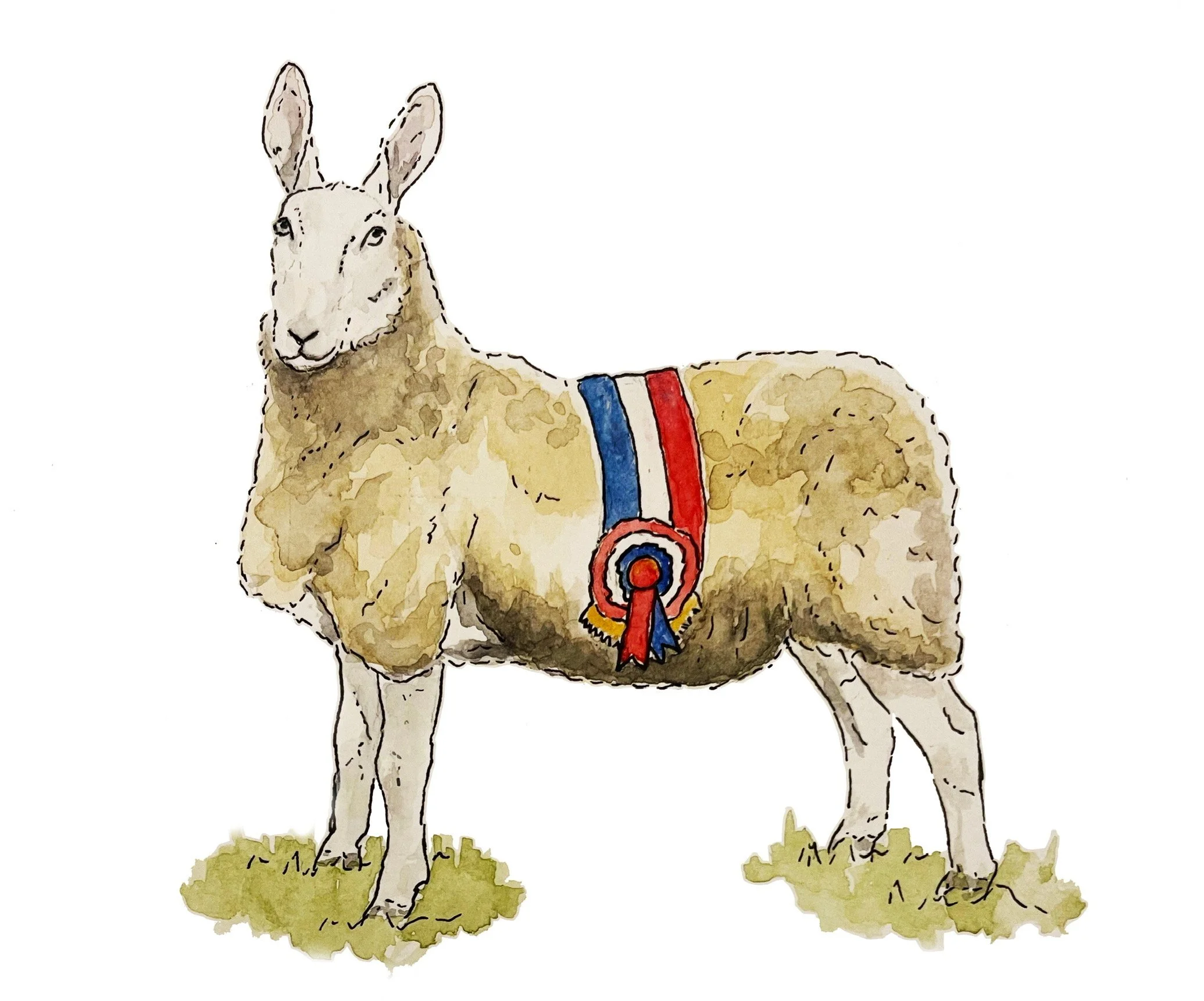 borderleicester  edited.jpeg