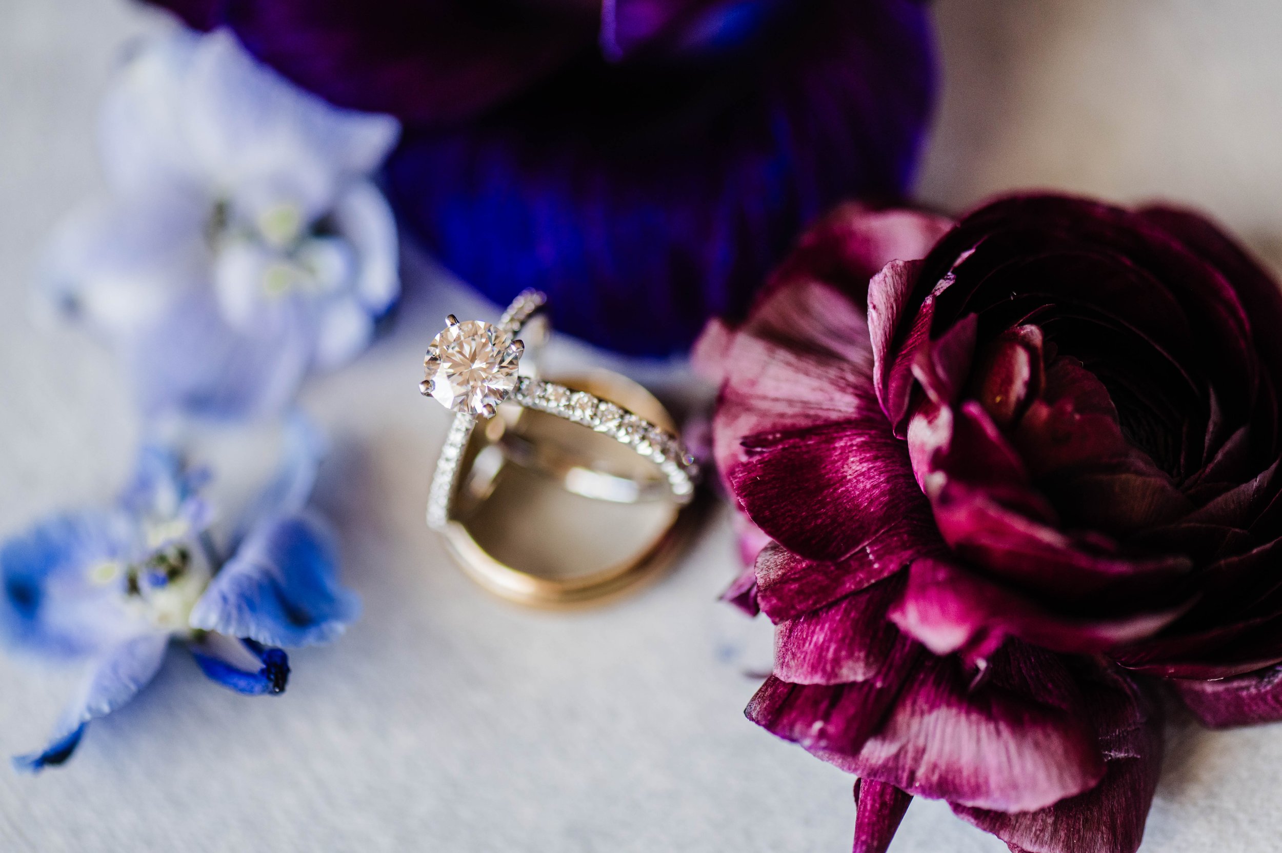belle-garden-roanoke-virginia-wedding5.jpg